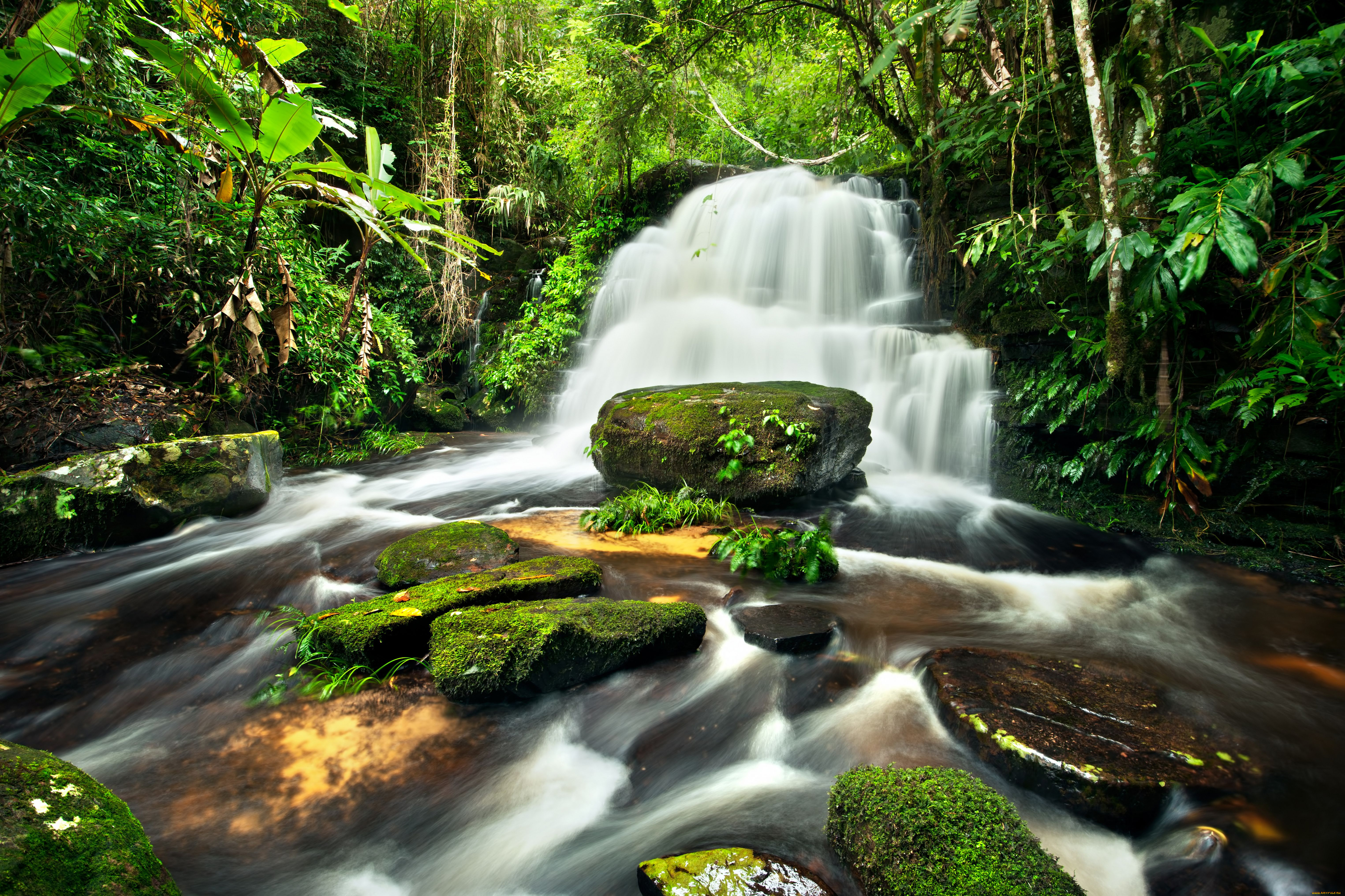 природа, водопады, джунгли, камни, лес, река