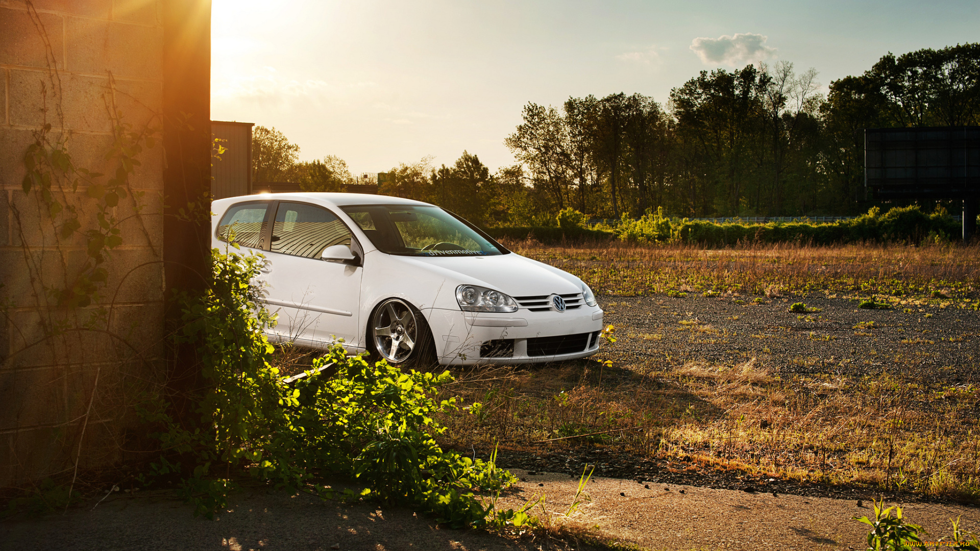 автомобили, volkswagen