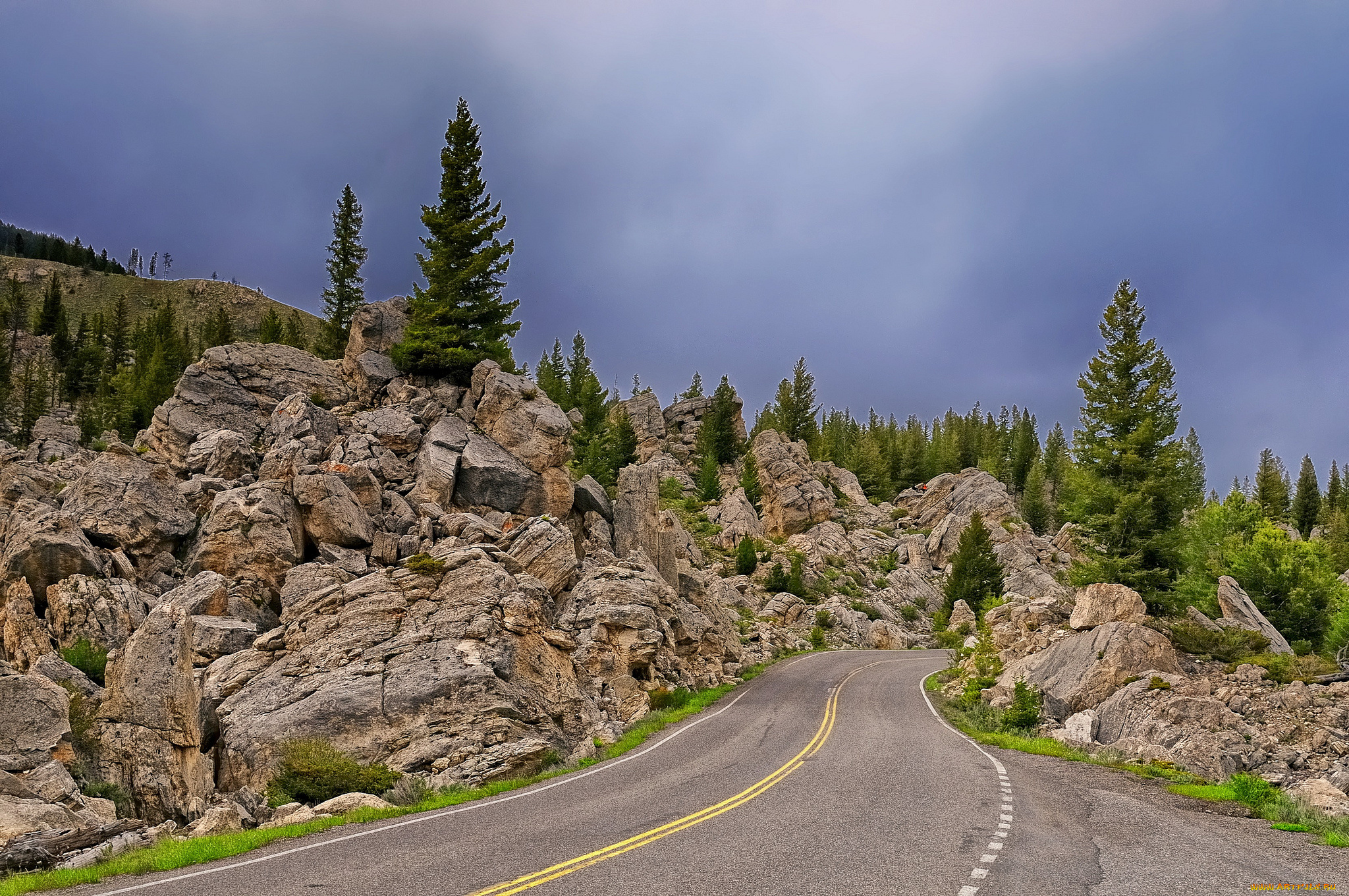 yellowstone, national, park, wyoming, природа, дороги, йеллоустон, вайоминг, деревья, камни