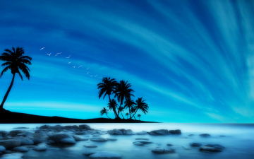 Картинка 3д графика nature landscape природа облака небо пальмы океан пляж камни