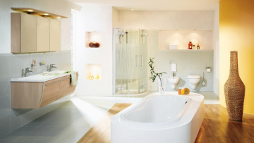 Картинка интерьер ванная+и+туалетная+комнаты раковины шкафы ваза ванна подсветка туалет душевая краны