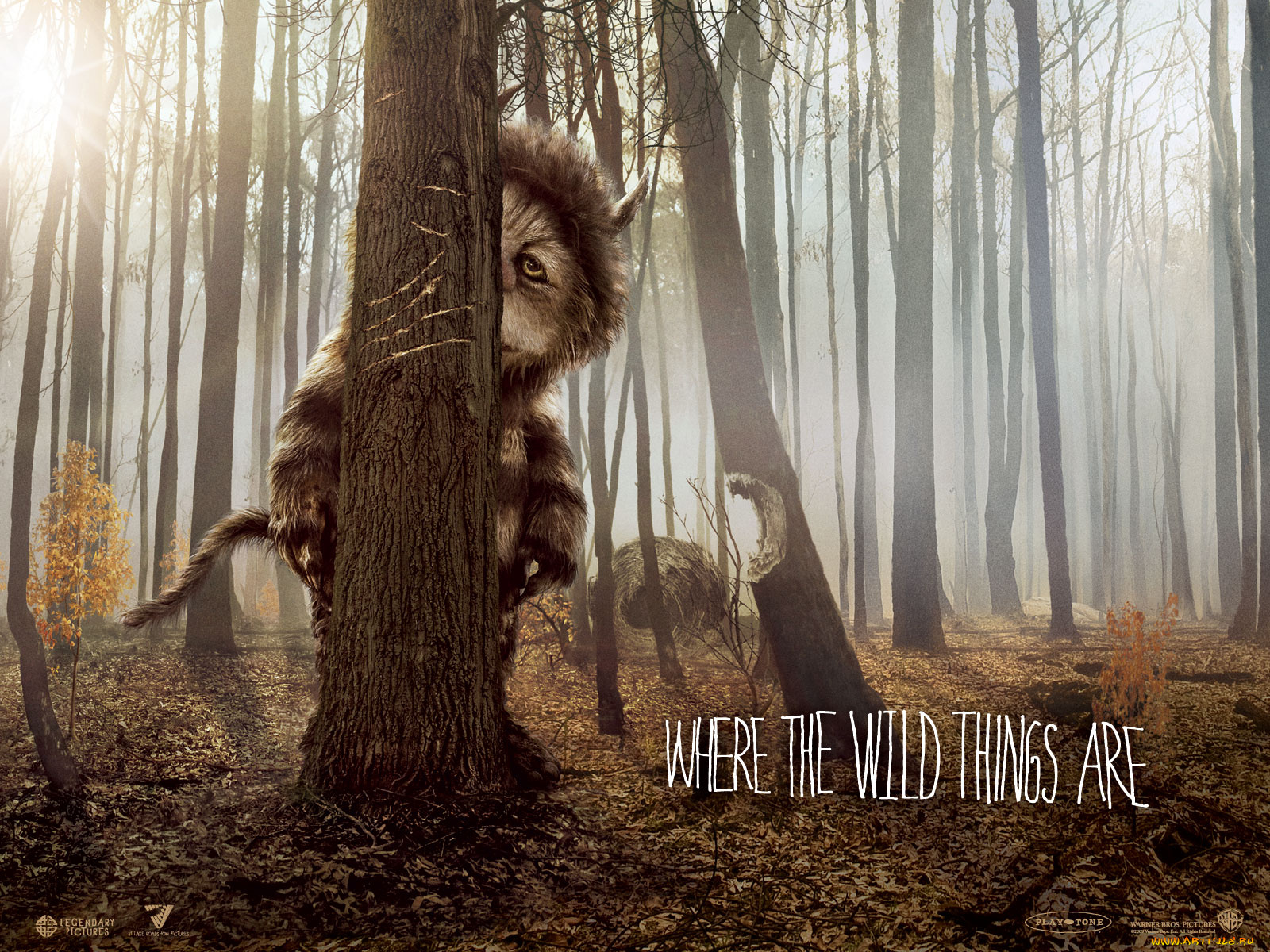 where, the, wild, things, are, кино, фильмы
