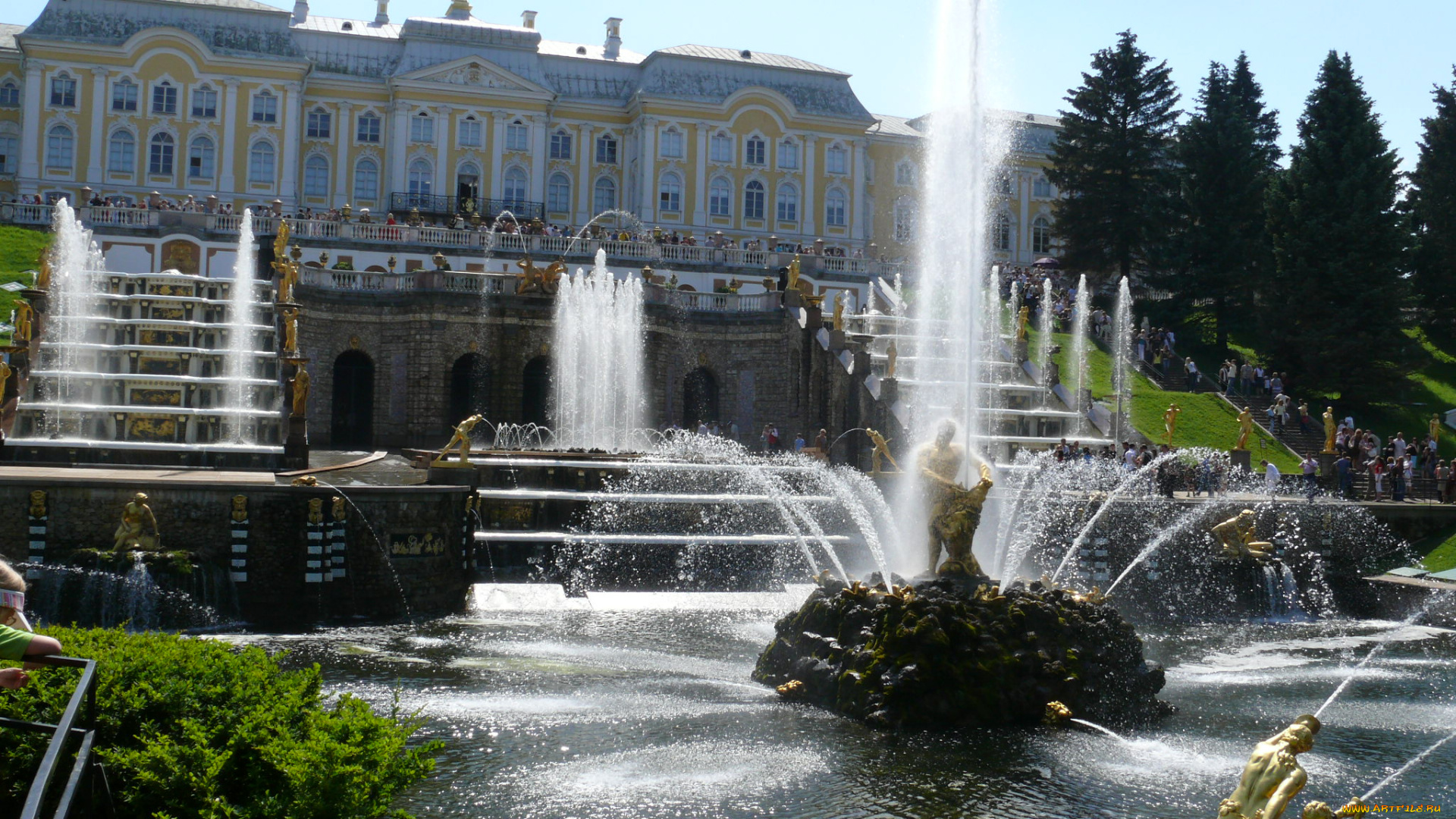 автор, владимир, кузнецов, города, санкт, петербург, петергоф, россия