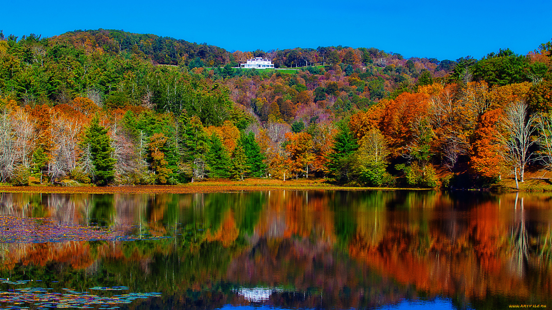 autumn, природа, реки, озера, отражение, лес, озеро, красота, краски, осень