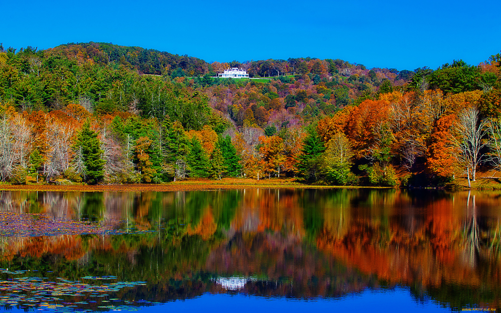 autumn, природа, реки, озера, отражение, лес, озеро, красота, краски, осень