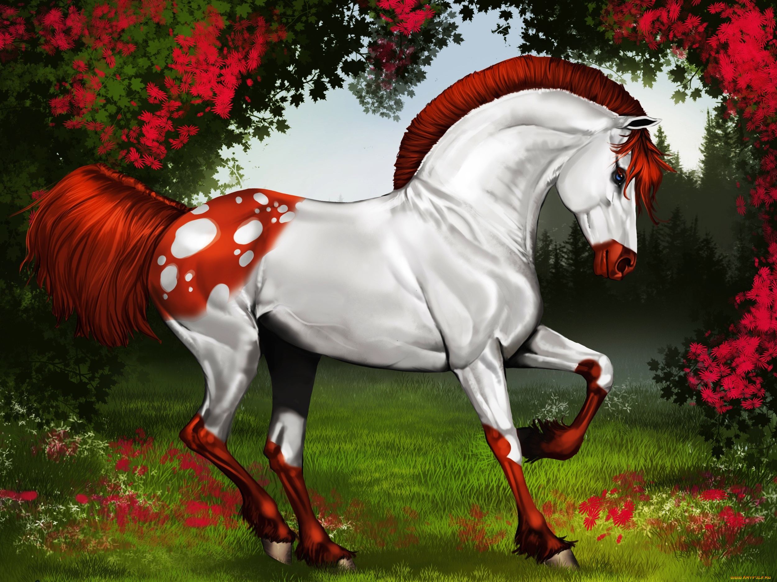 рисованное, животные, , лошади, грива, цветы, зелень, лес, лошадь, moulin, rouge, forest, рисунок, хвост