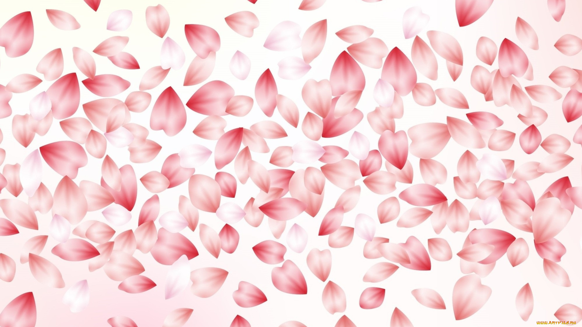векторная, графика, цветы, , flowers, leaves, background, blossom, лепестки, текстура, розовый, фон, petal, cherry