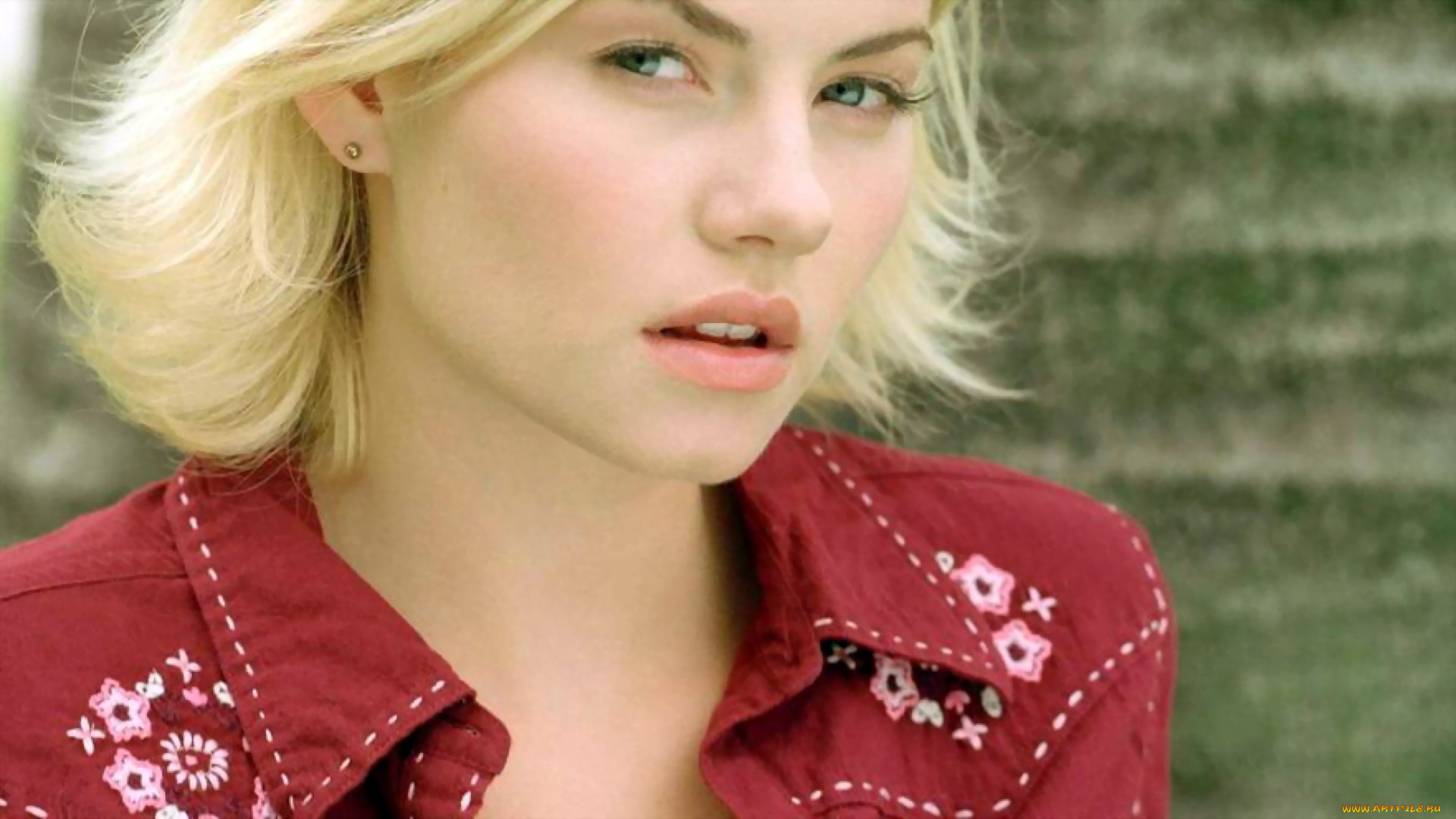 девушки, elisha, cuthbert, блондинка, лицо, рубашка