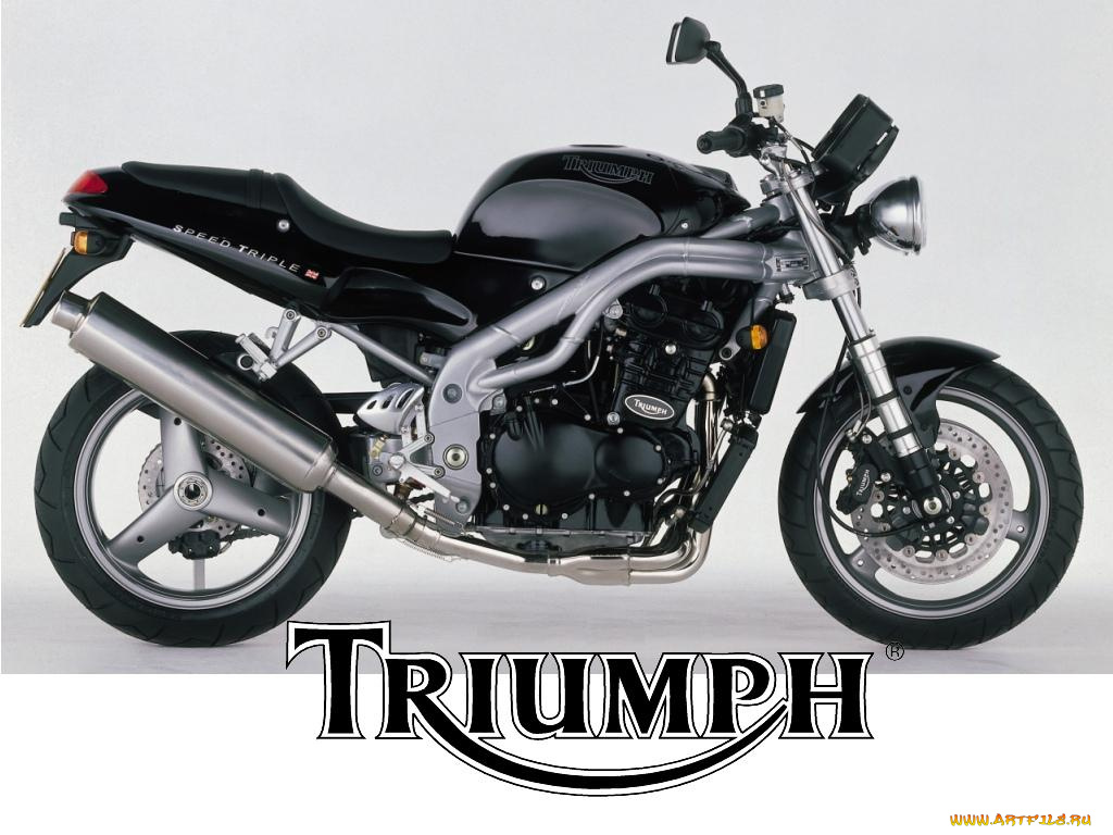 мотоциклы, triumph