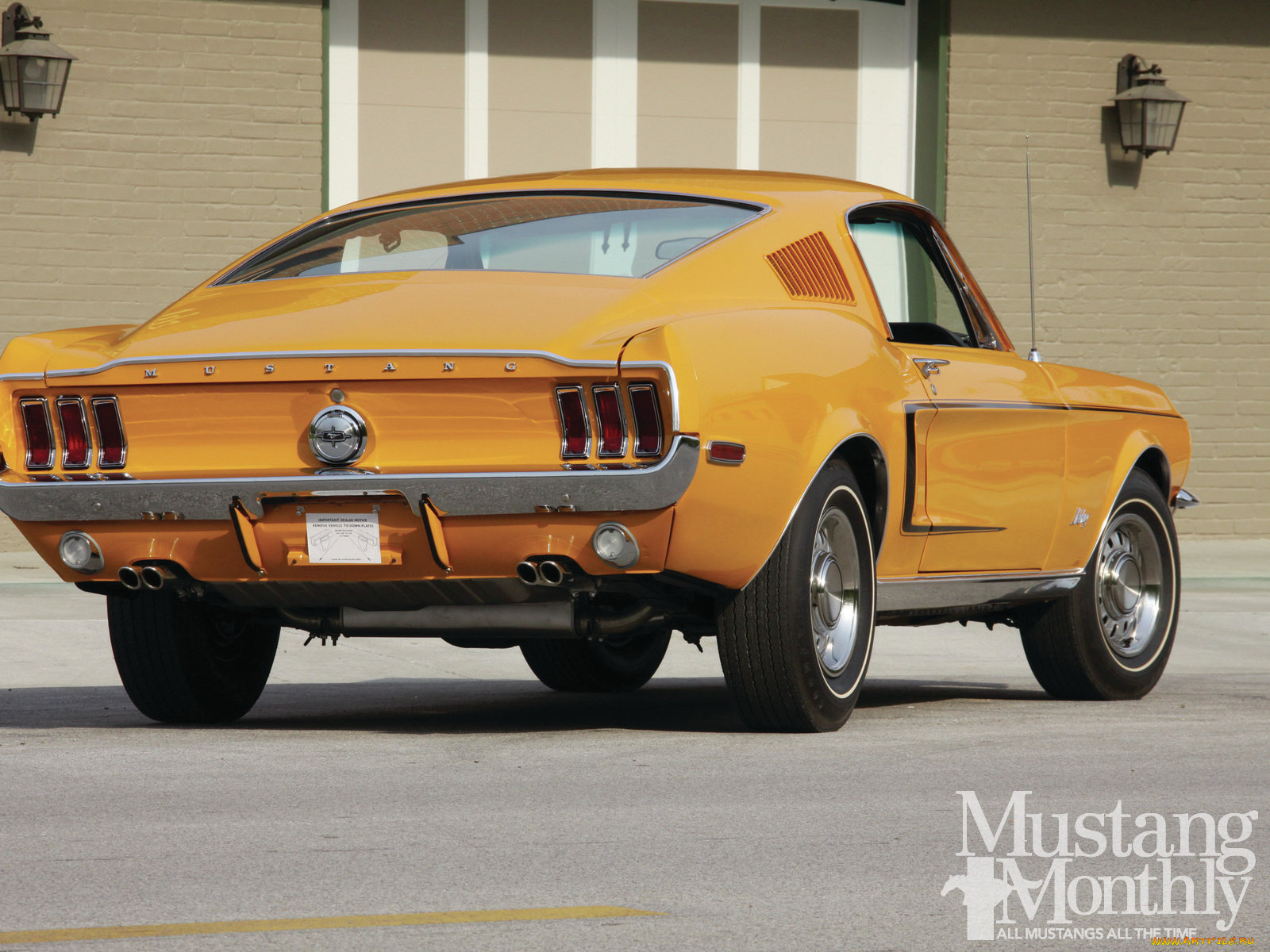 1968, fastback, special, orange, автомобили, mustang