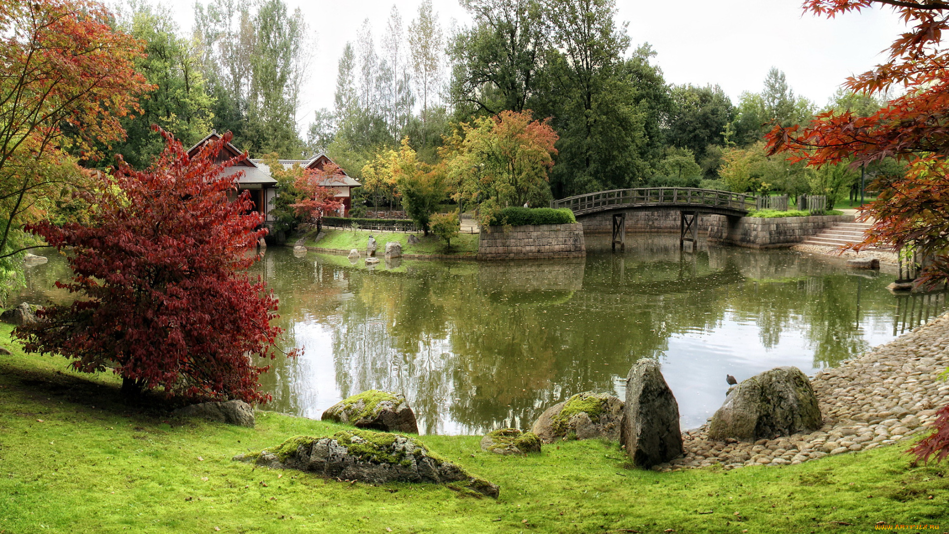 japanese, garden, hasselt, бельгия, природа, парк, водоем, мостик, японский, сад