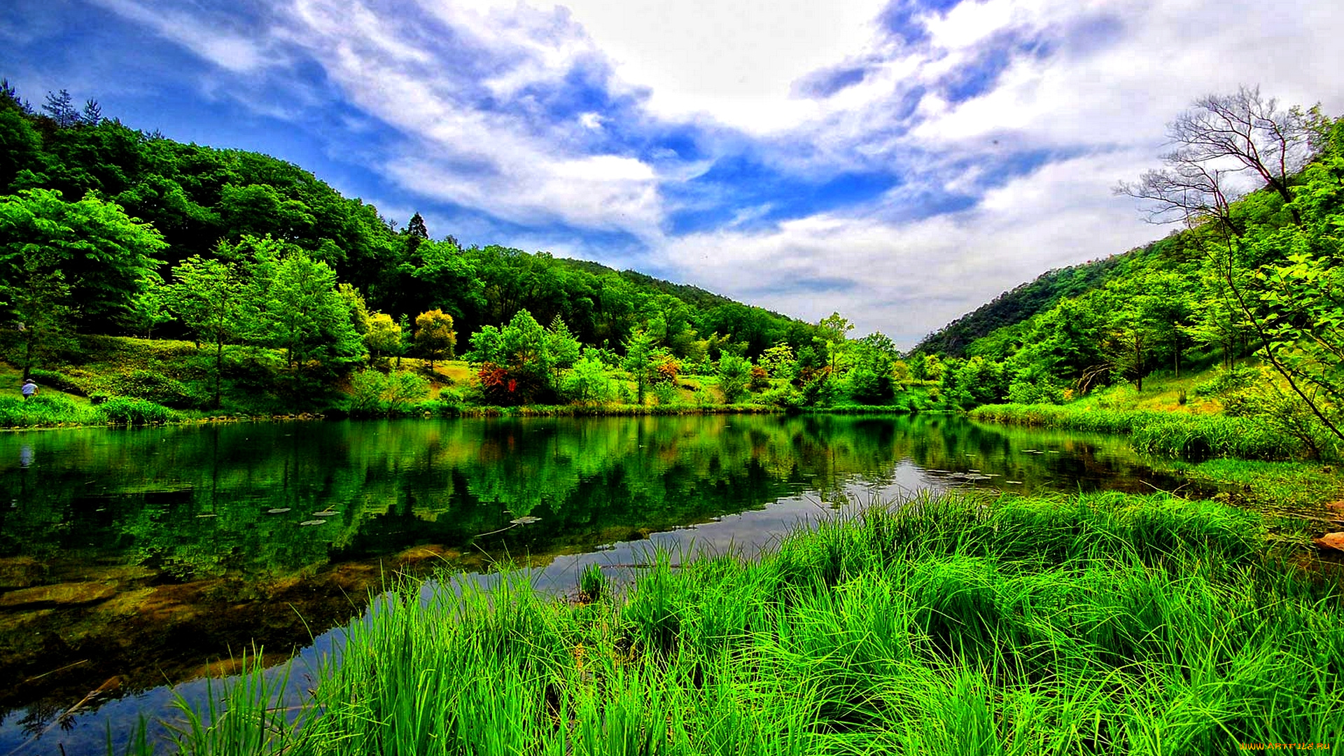 природа, реки, озера, лето, лес, зелень, деревья, трава, простор
