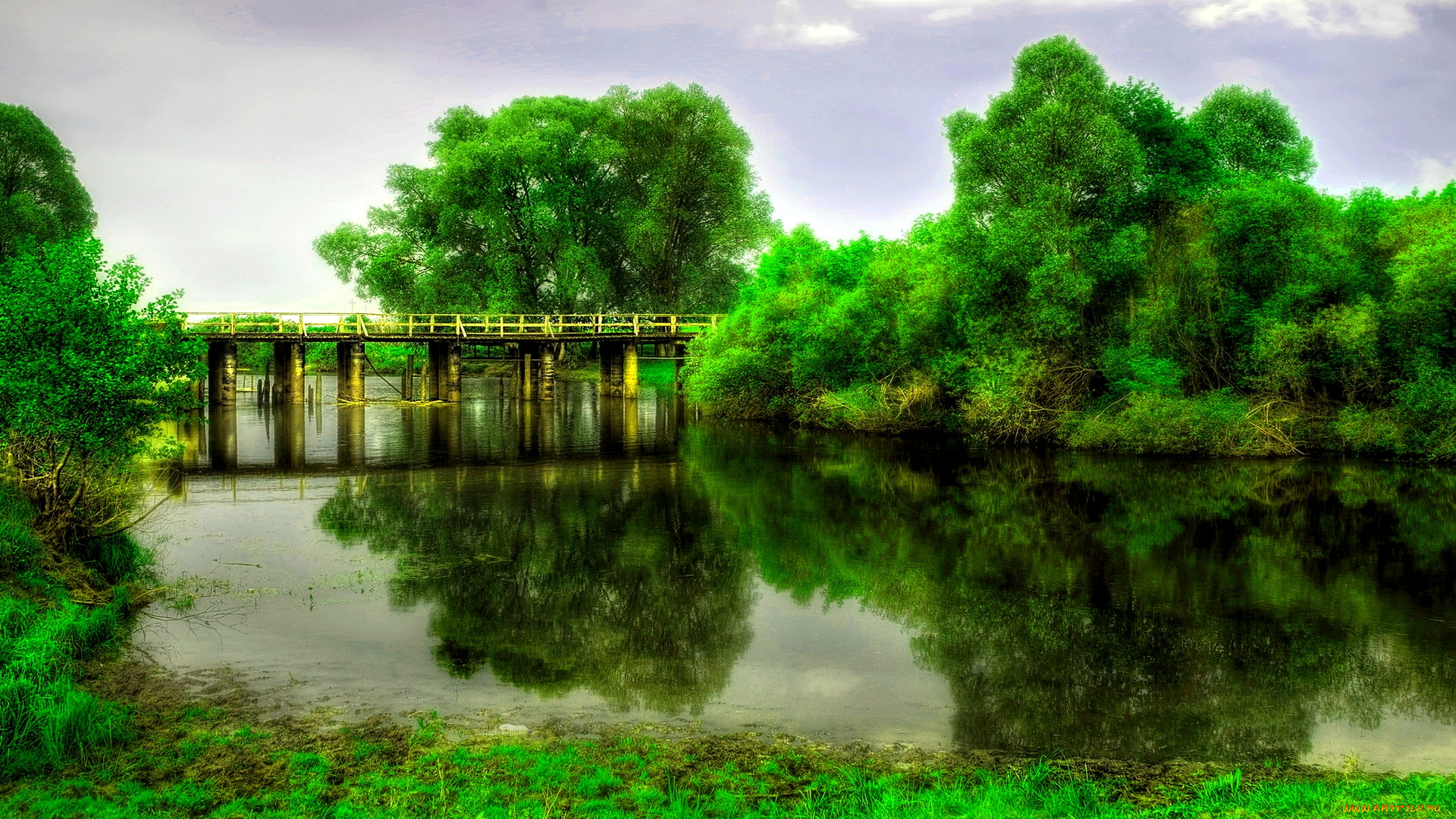 river, bridge, природа, реки, озера, лето, мост, лес, река, зелень