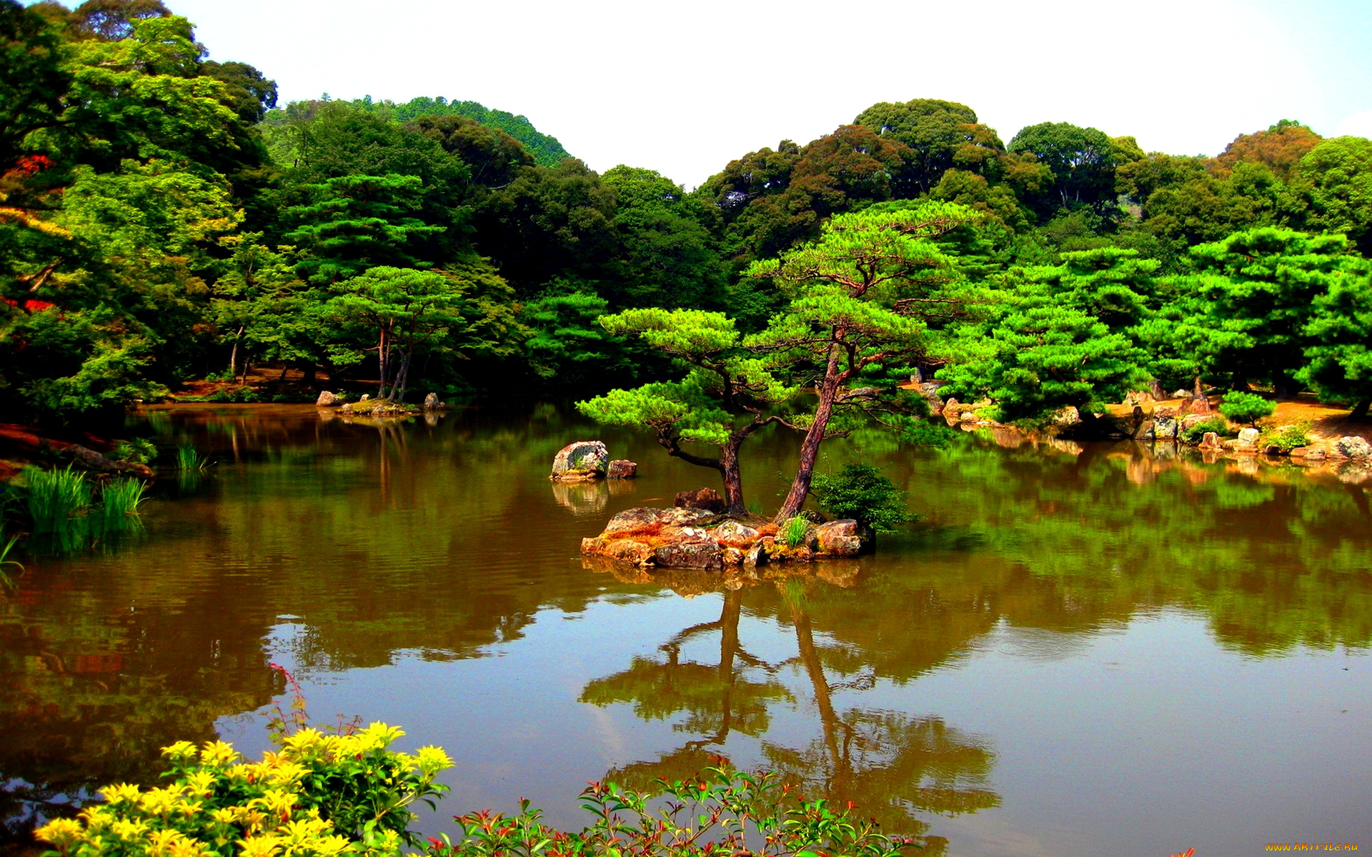 japanese, park, природа, парк, пруд, островок, деревья, трава, цветы, Япония