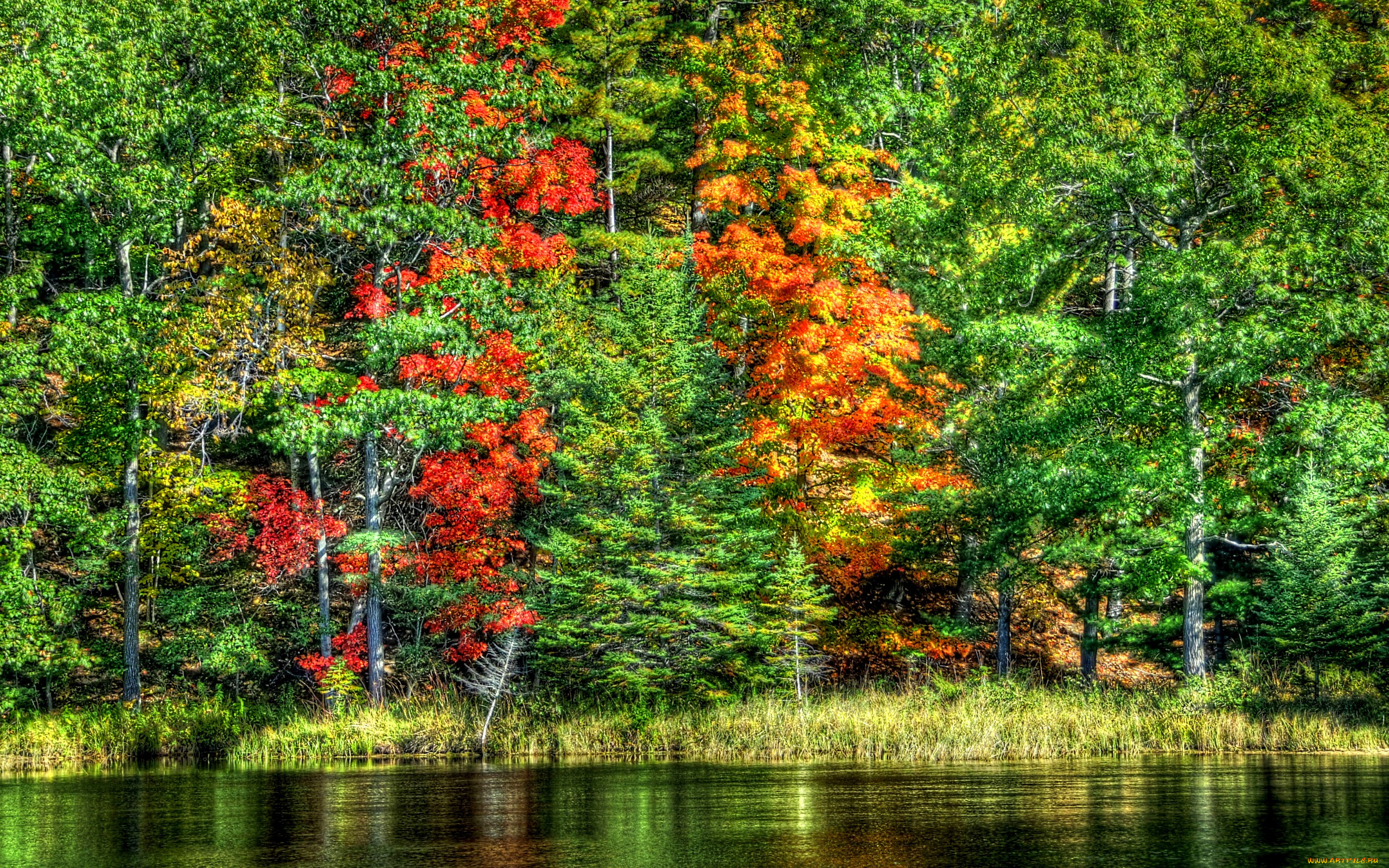 Установить на экране природу. Осенний пейзаж. Красивая осень. Осенний лес. Красивая природа на рабочий стол.