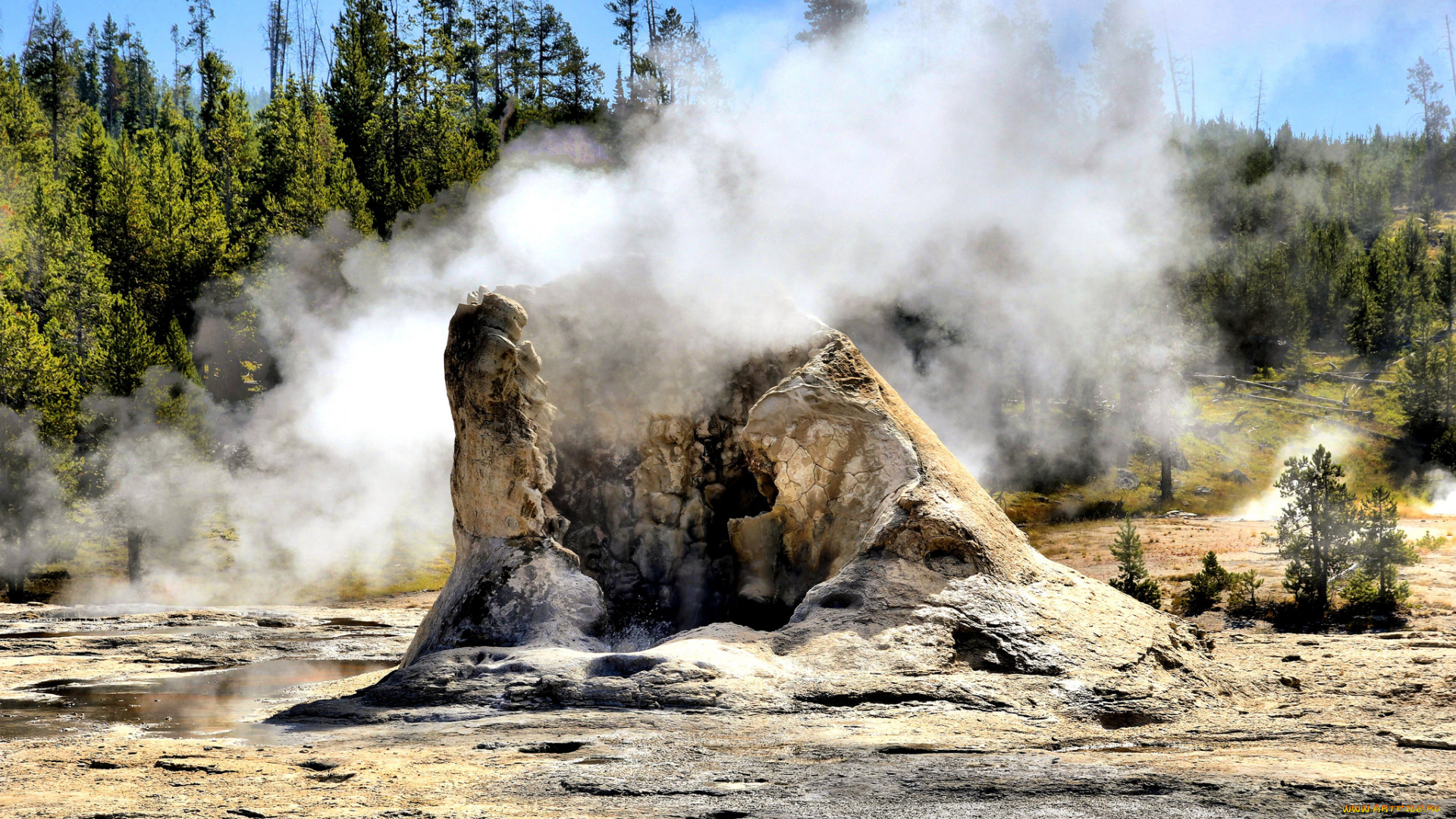 giant, geyser, yellowstone, national, park, природа, стихия, пар, гейзер, лес