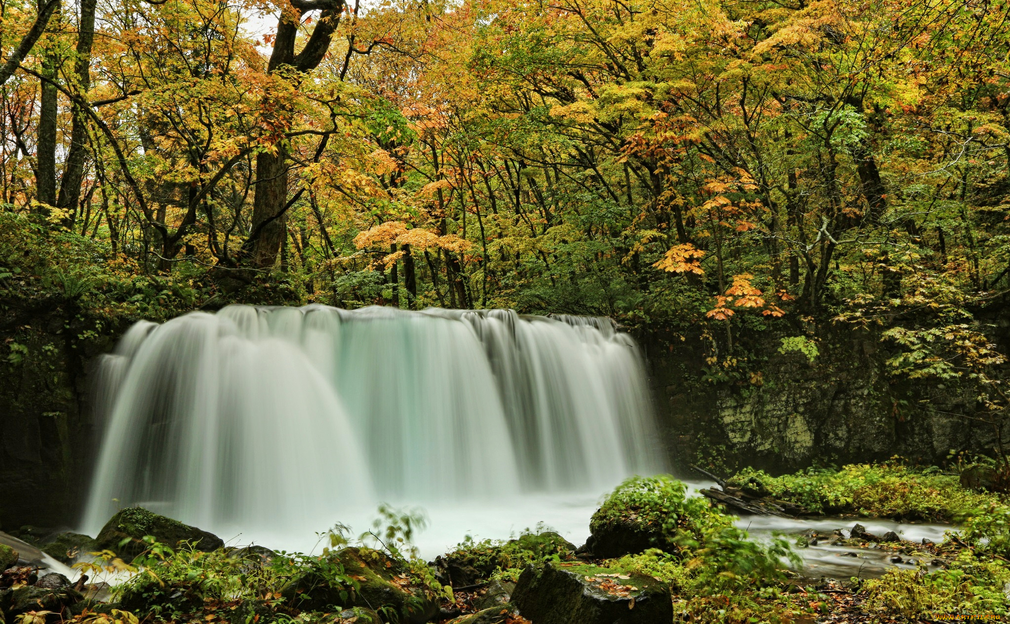 природа, водопады, лес, водопад, река