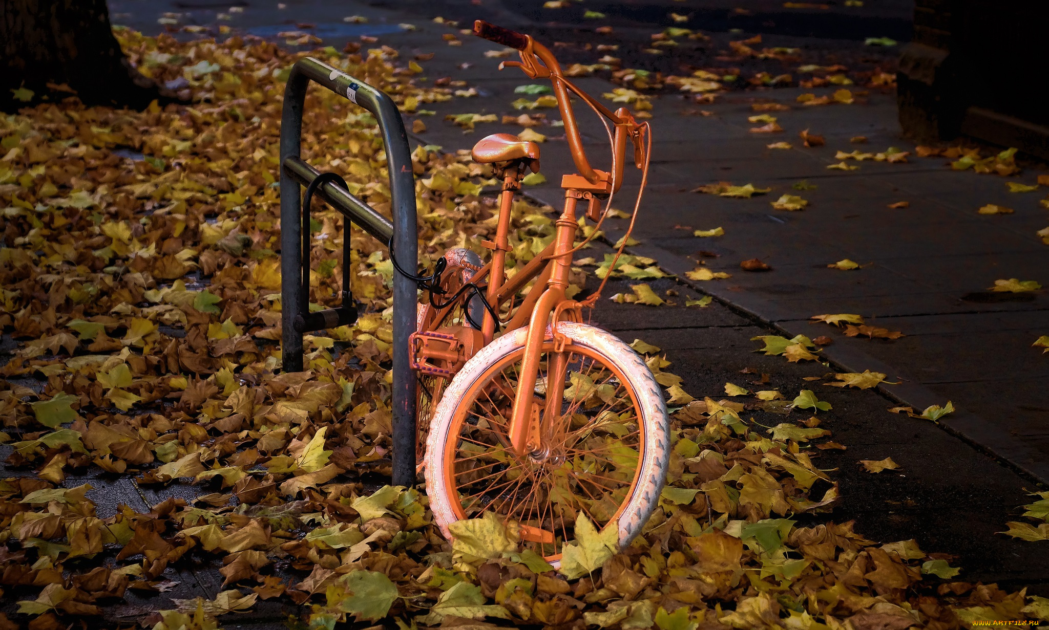 техника, велосипеды, замок, велосипед, желтая, листва, осень, улица