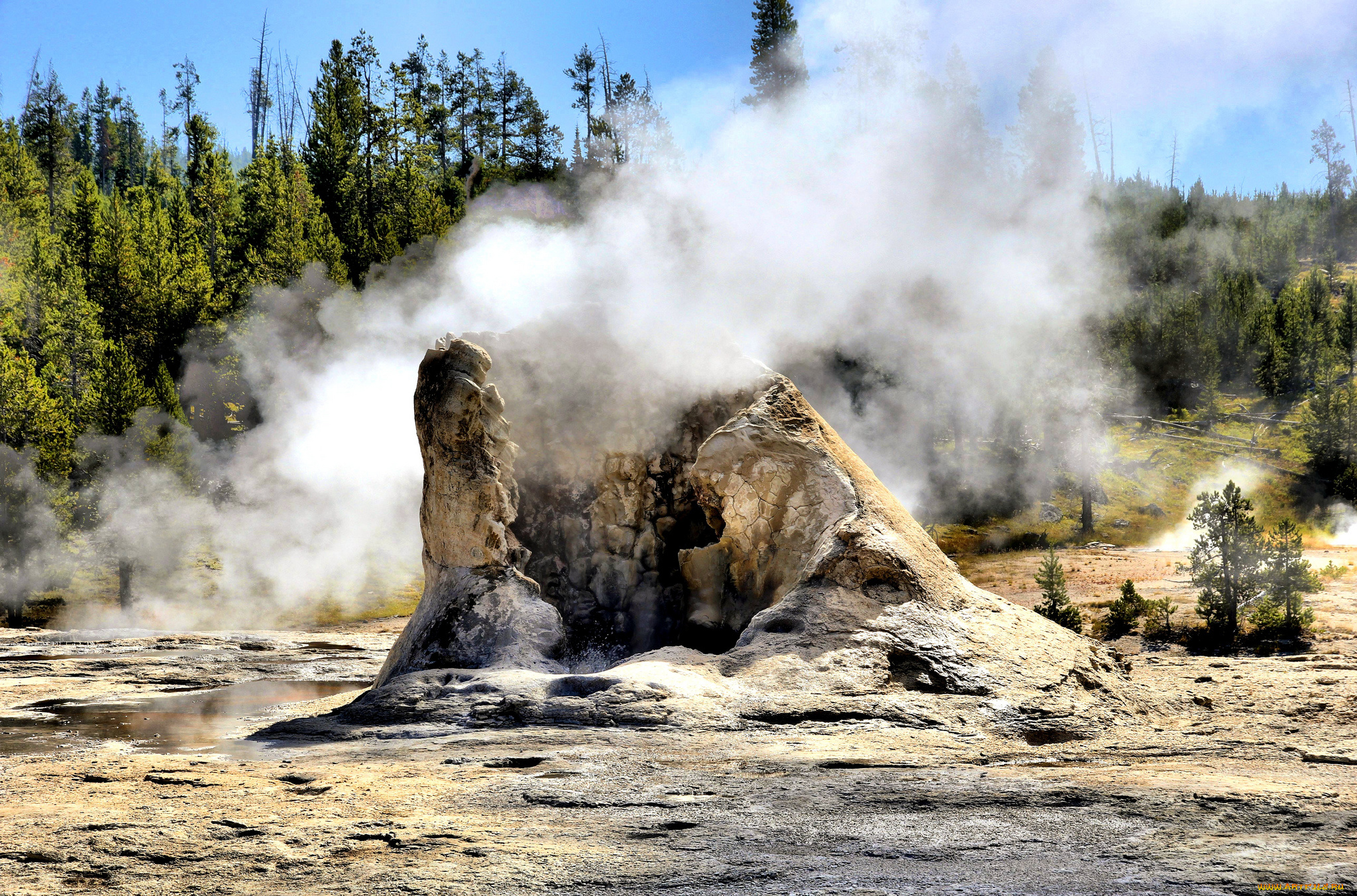 giant, geyser, yellowstone, national, park, природа, стихия, пар, гейзер, лес