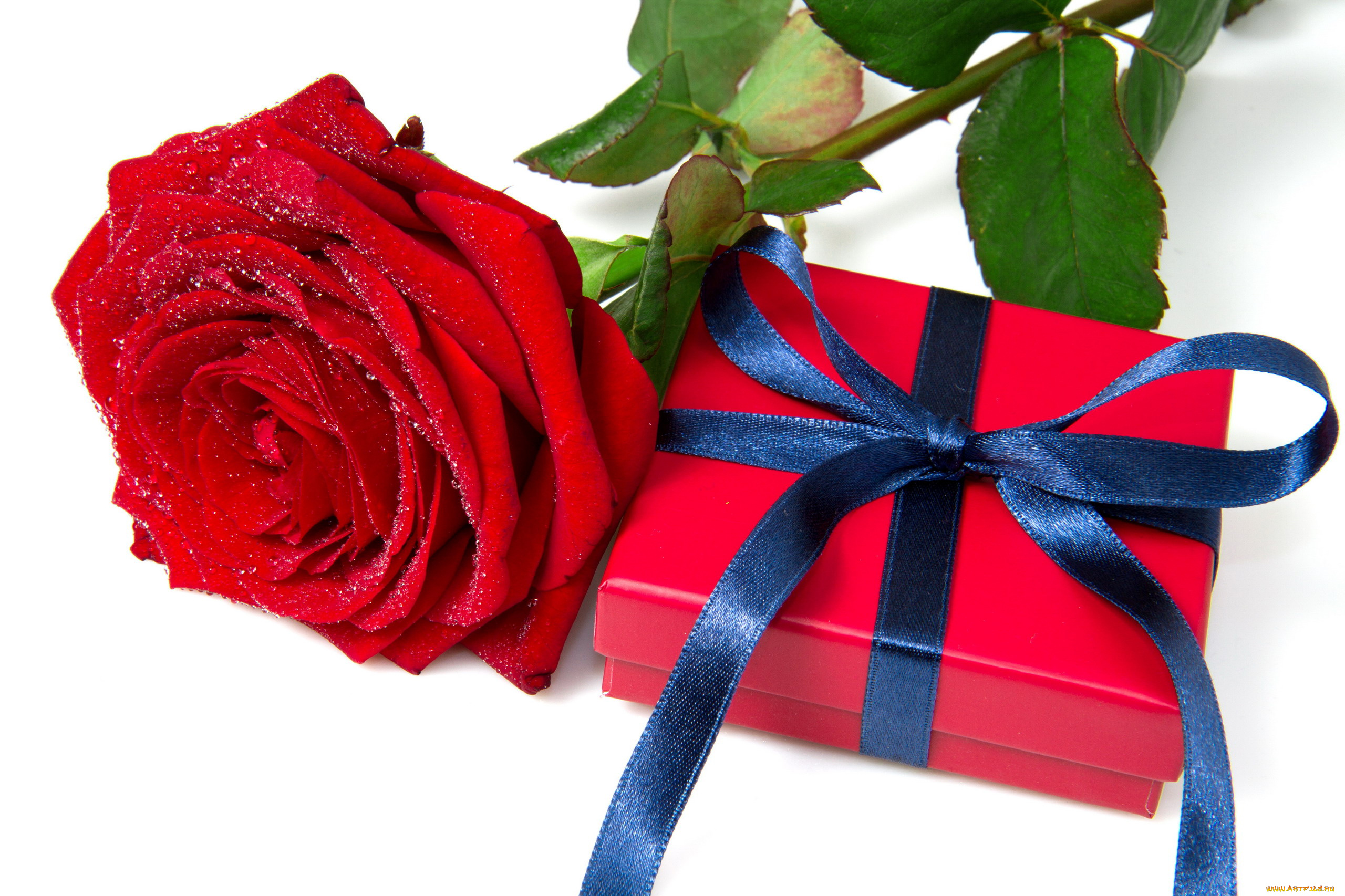 Подарок с поздравлением 45 женщине. Цветы в подарок. Подарок с цветами. Розы подарок. Красивые подарки.