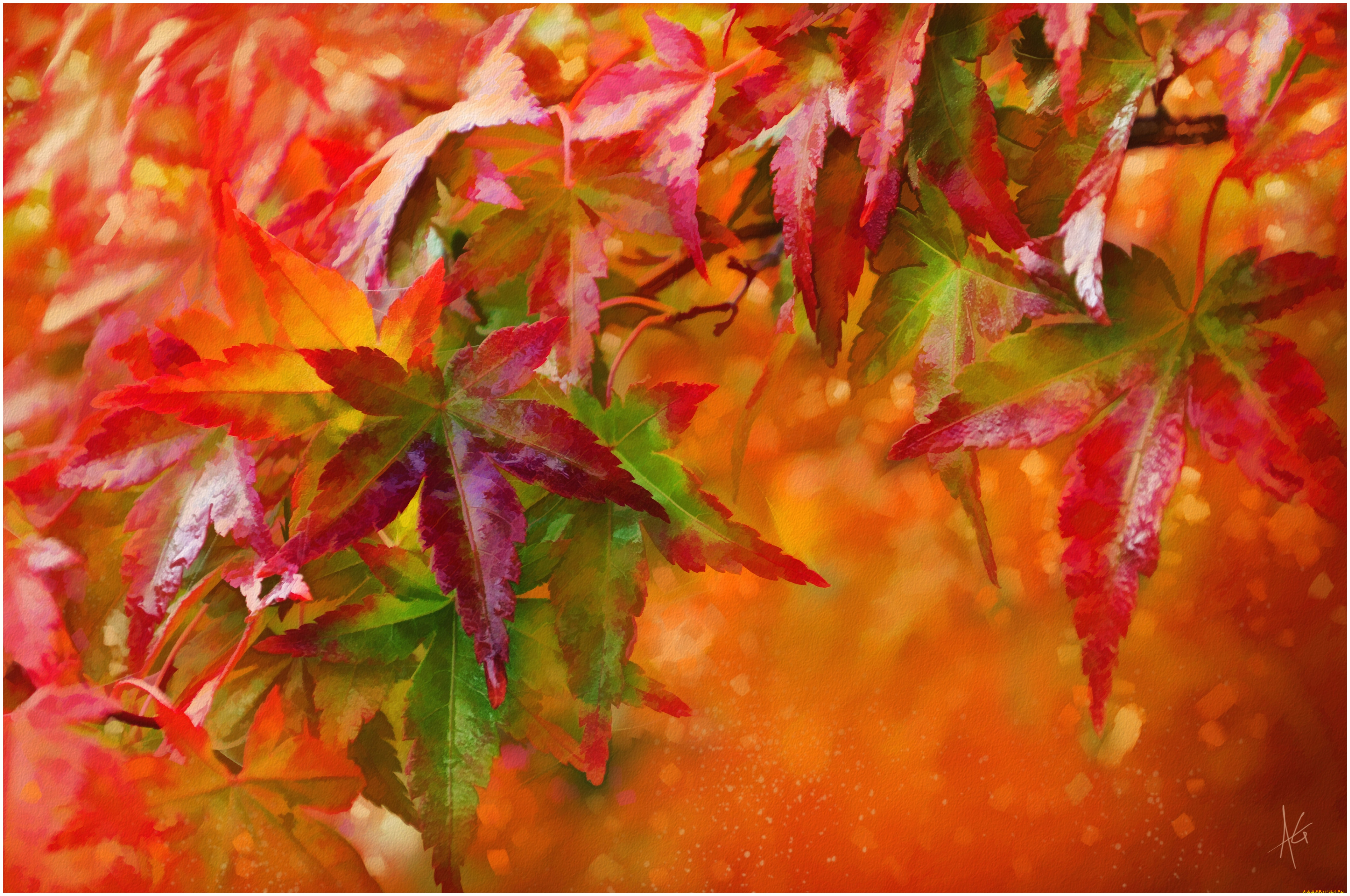 рисованные, природа, листья, осень