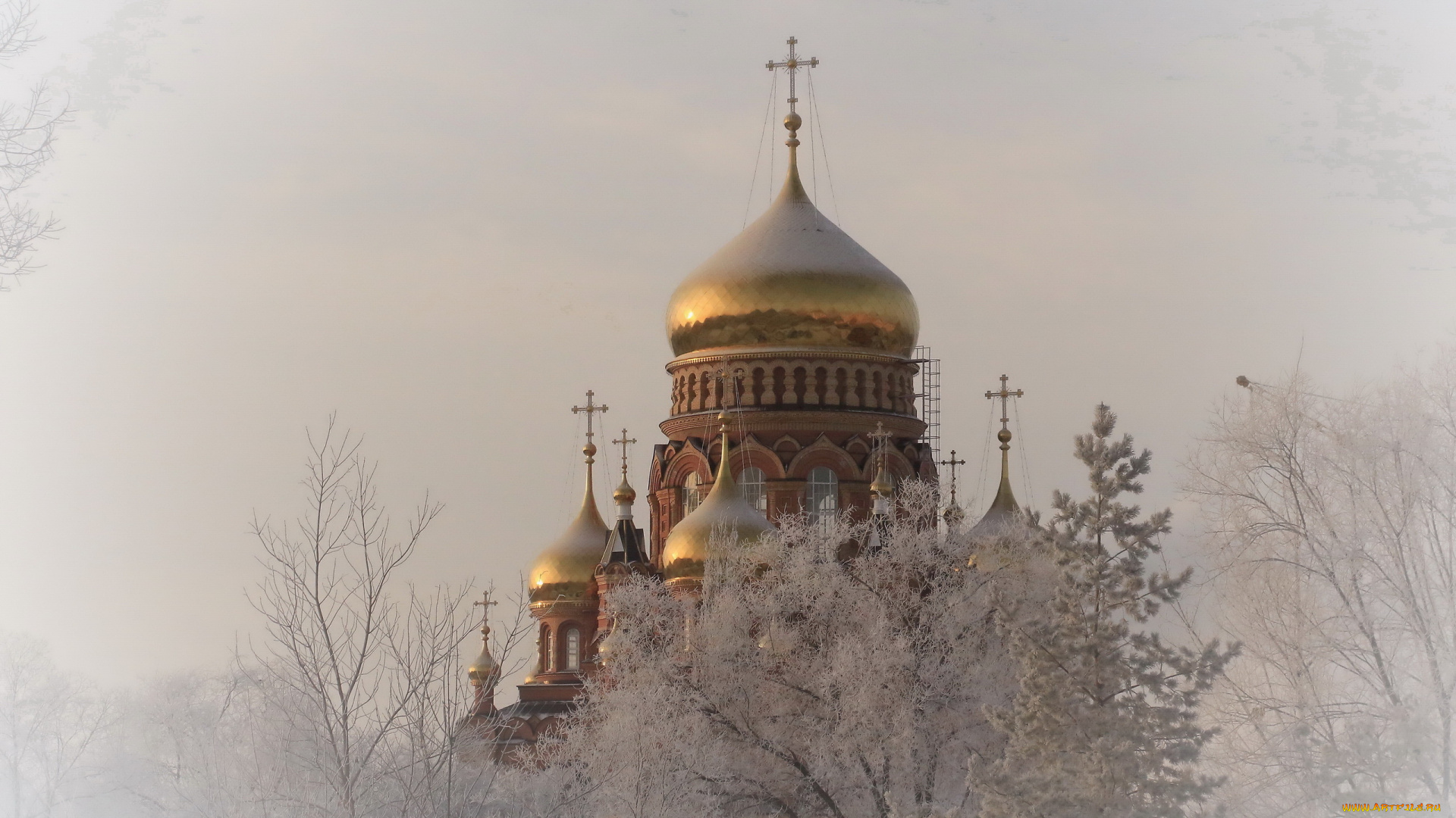 города, -, православные, церкви, , монастыри, зима, деревья, иней, красота, золотые, купола, церковь