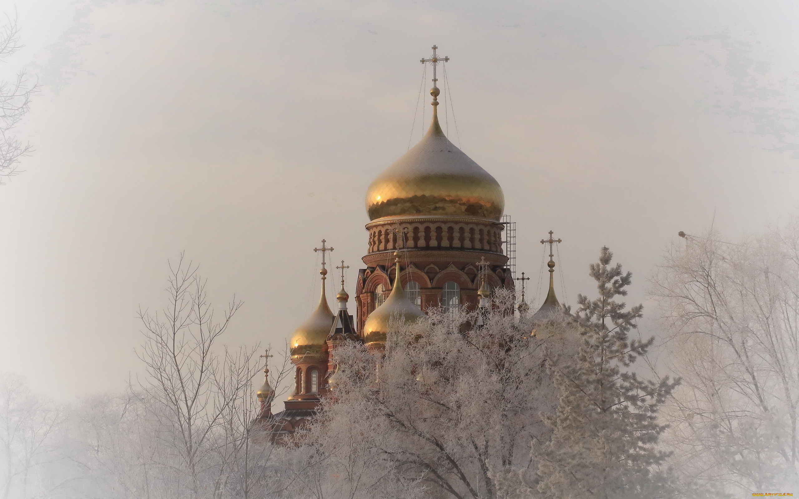 города, -, православные, церкви, , монастыри, зима, деревья, иней, красота, золотые, купола, церковь