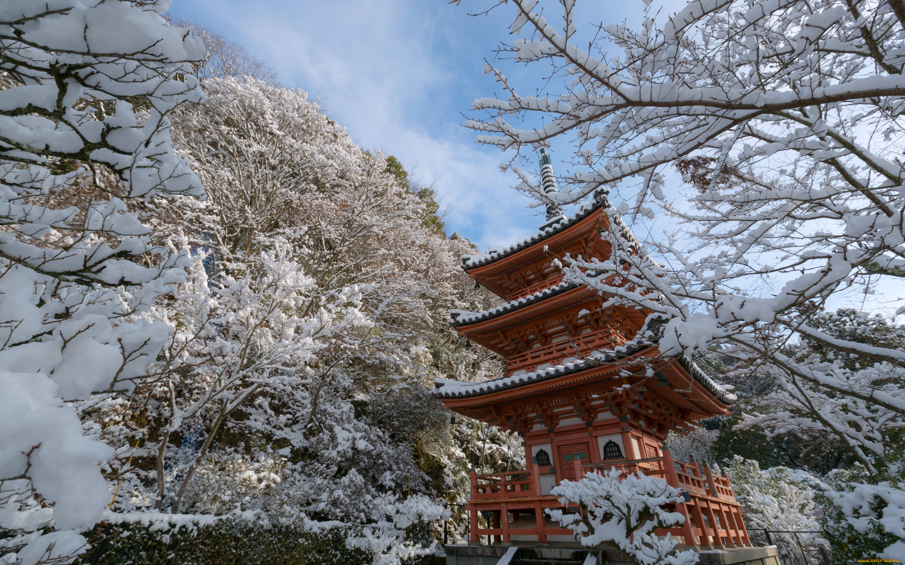 города, киото, , Япония, ветки, храм, киото, japan, kyoto, деревья, снег, mimuroto-ji, temple, зима, пагода