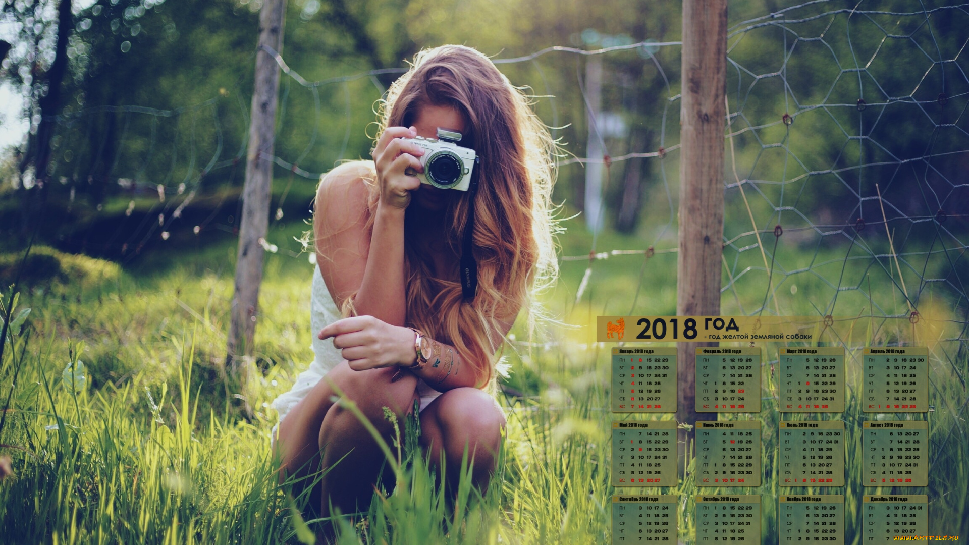 календари, девушки, 2018, фотоаппарат, растения