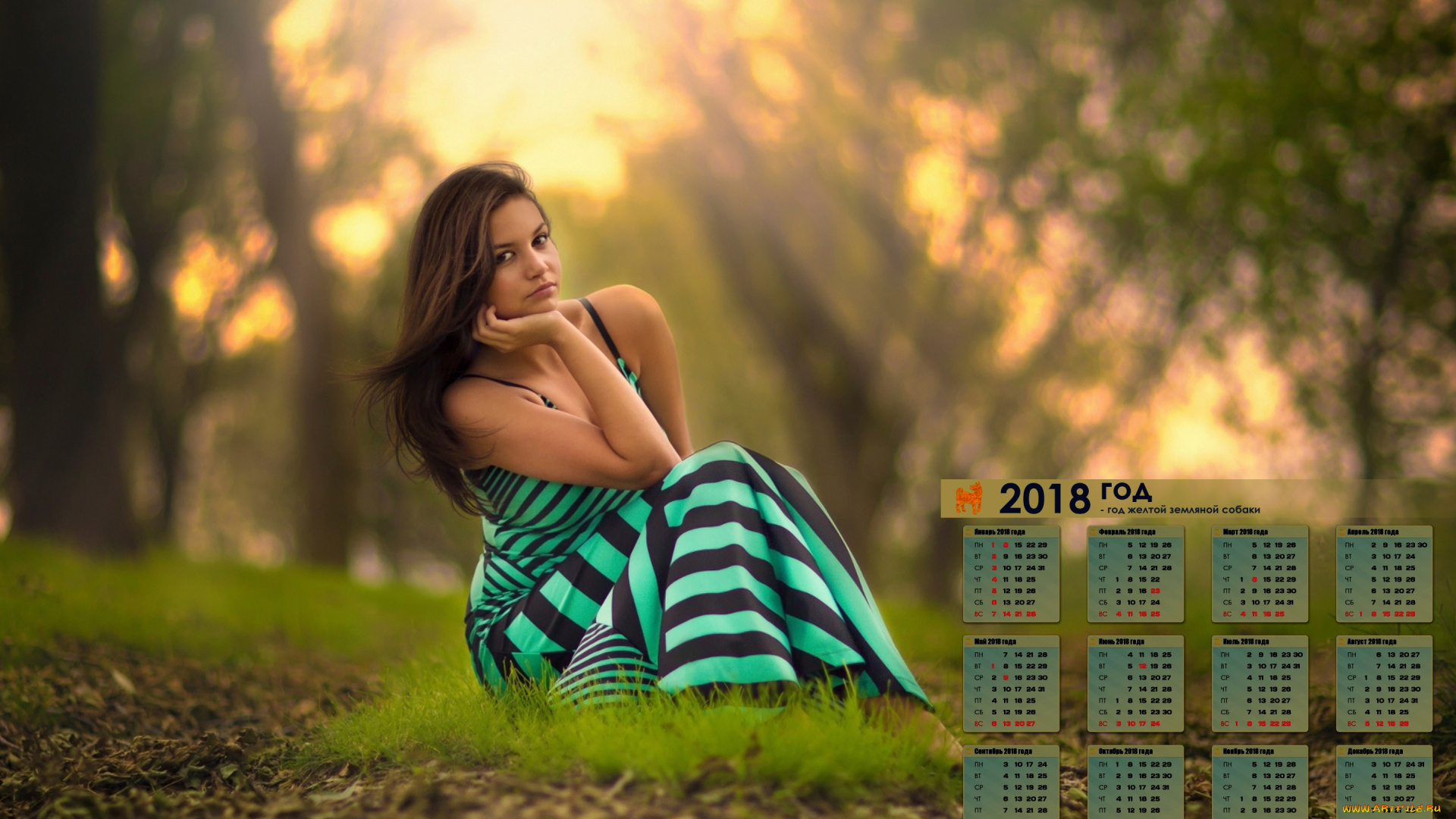 календари, девушки, трава, взгляд, 2018