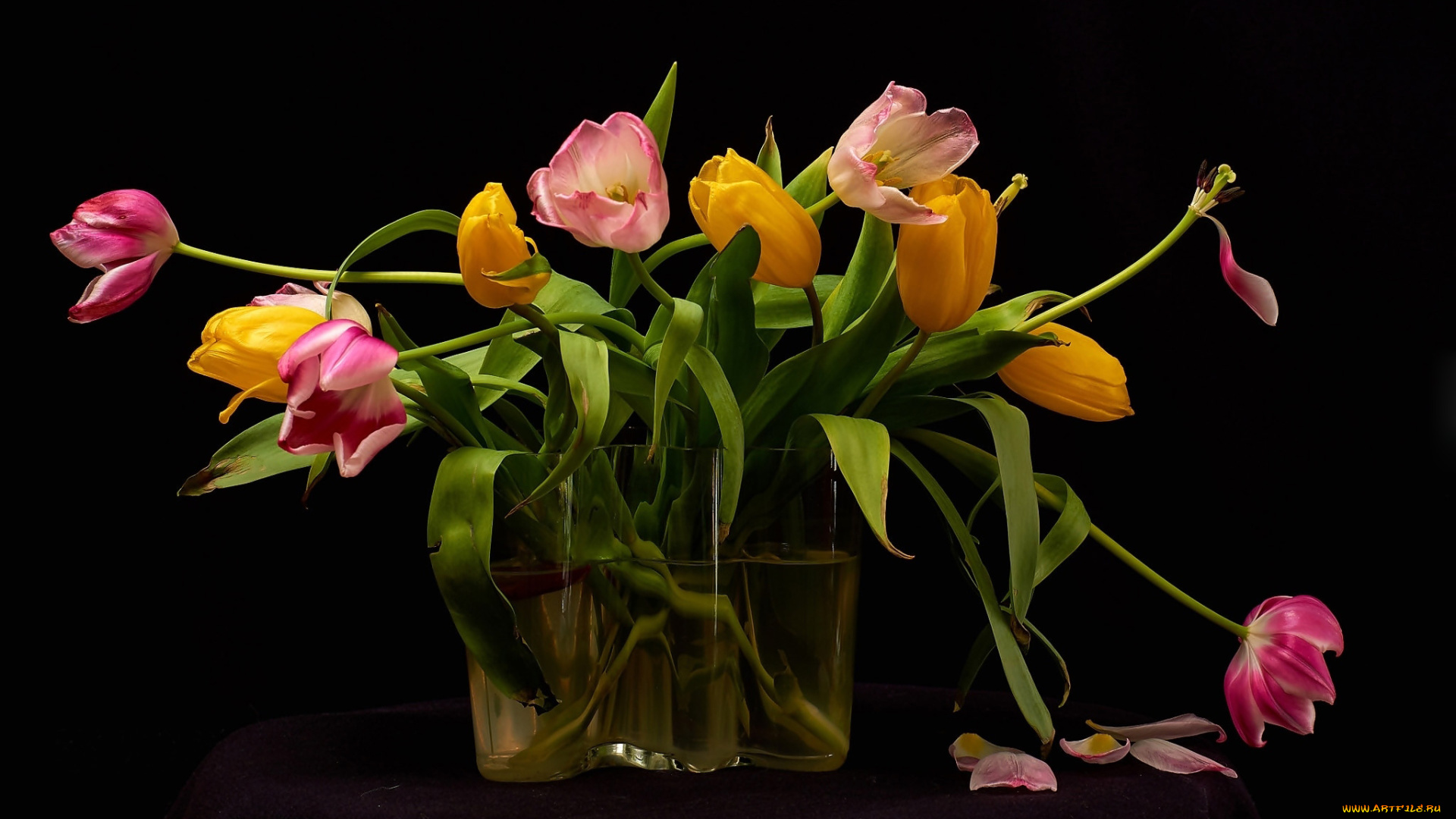 цветы, тюльпаны, ваза, лепестки
