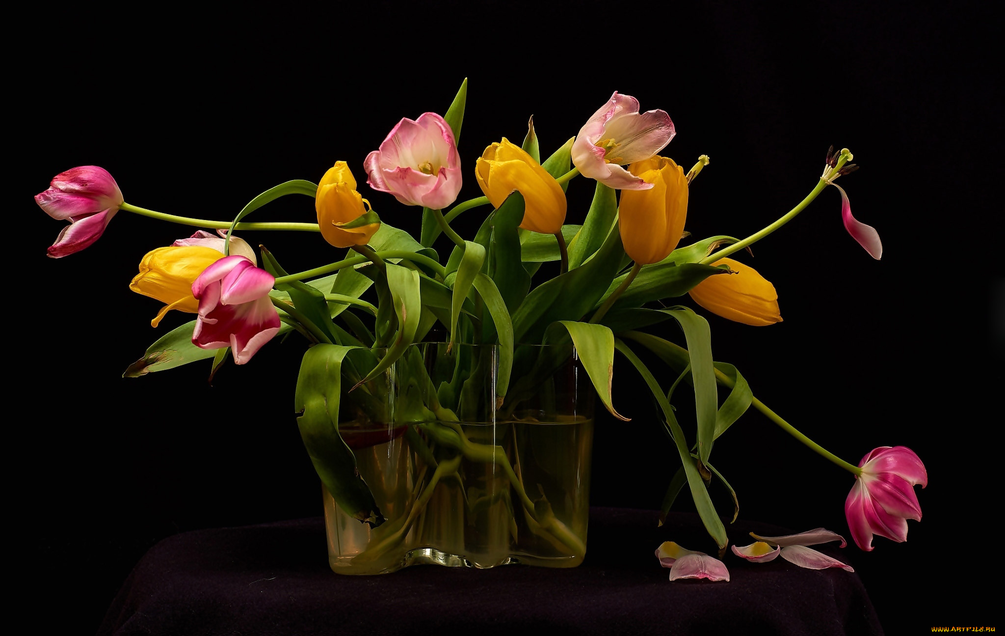 цветы, тюльпаны, ваза, лепестки