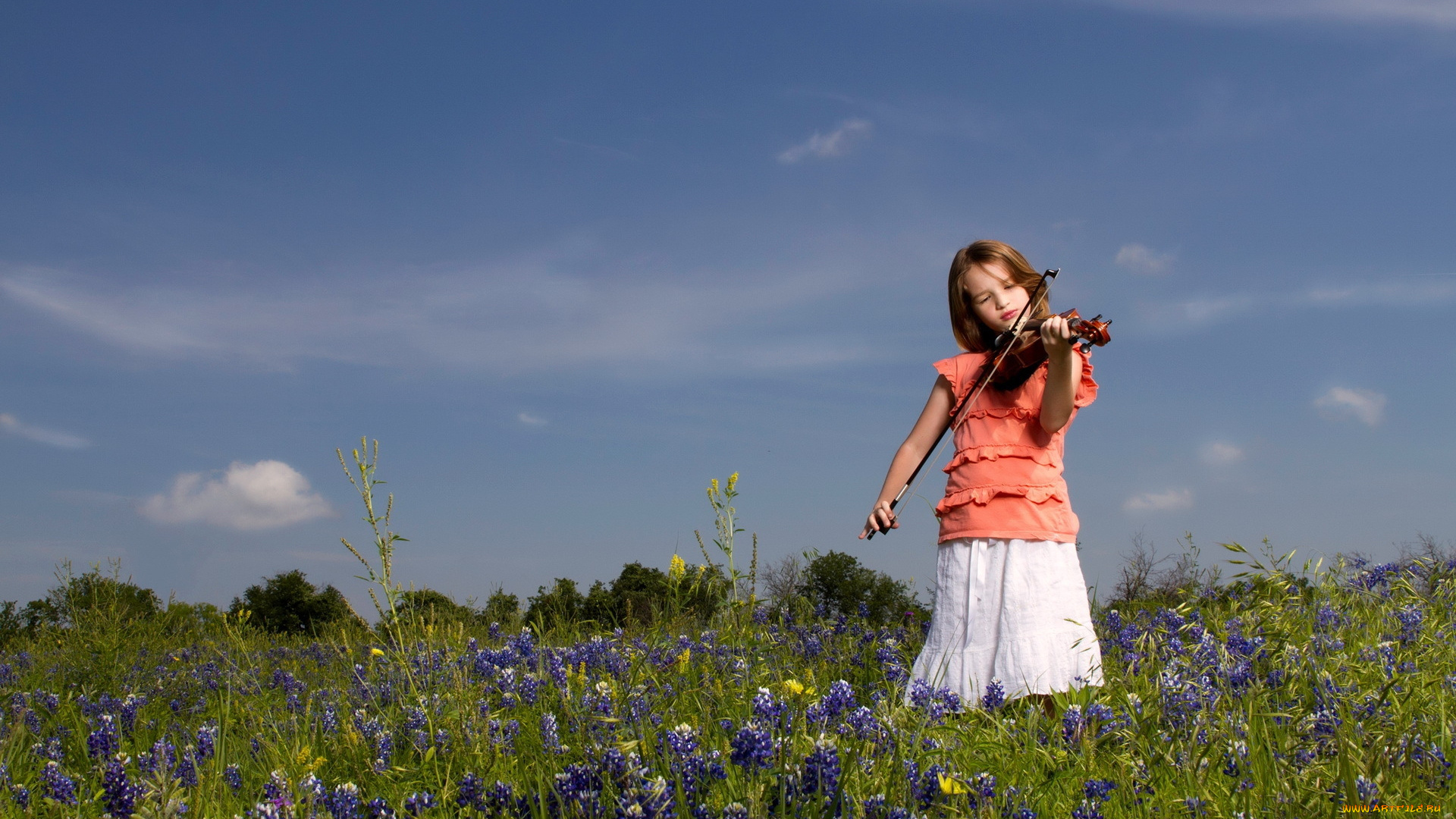 музыка, -другое, девочка, скрипка, луг, цветы