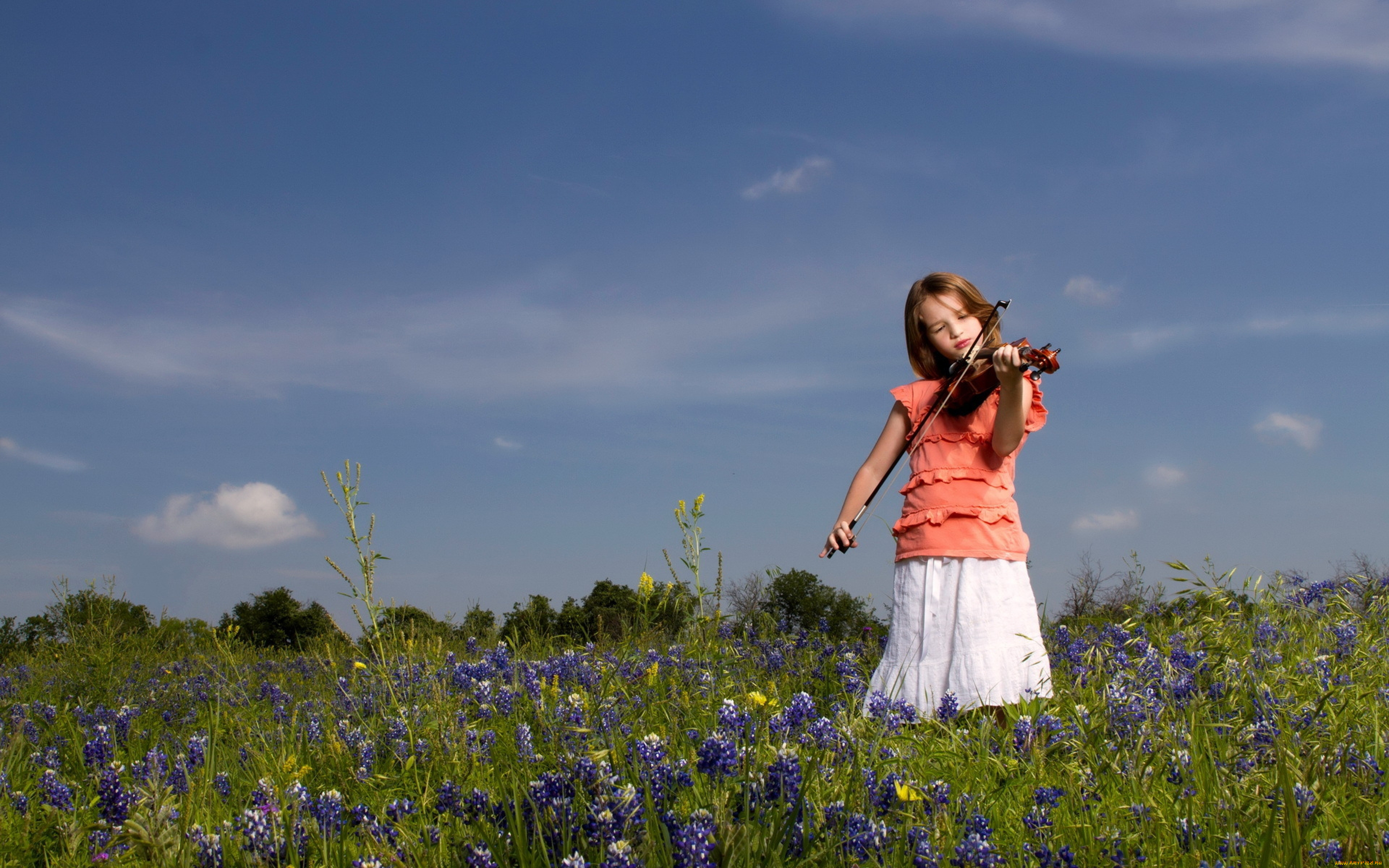 музыка, -другое, девочка, скрипка, луг, цветы