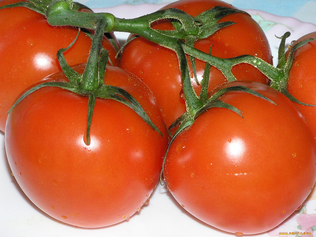 помидоры, еда, томаты