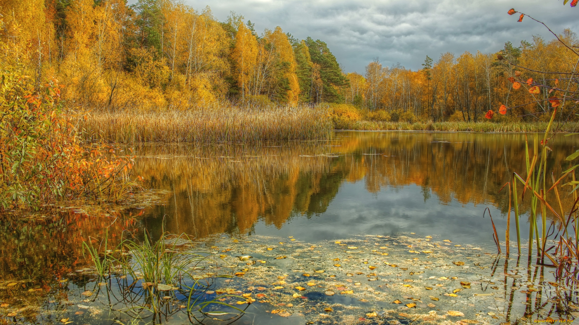 природа, реки, озера, осень