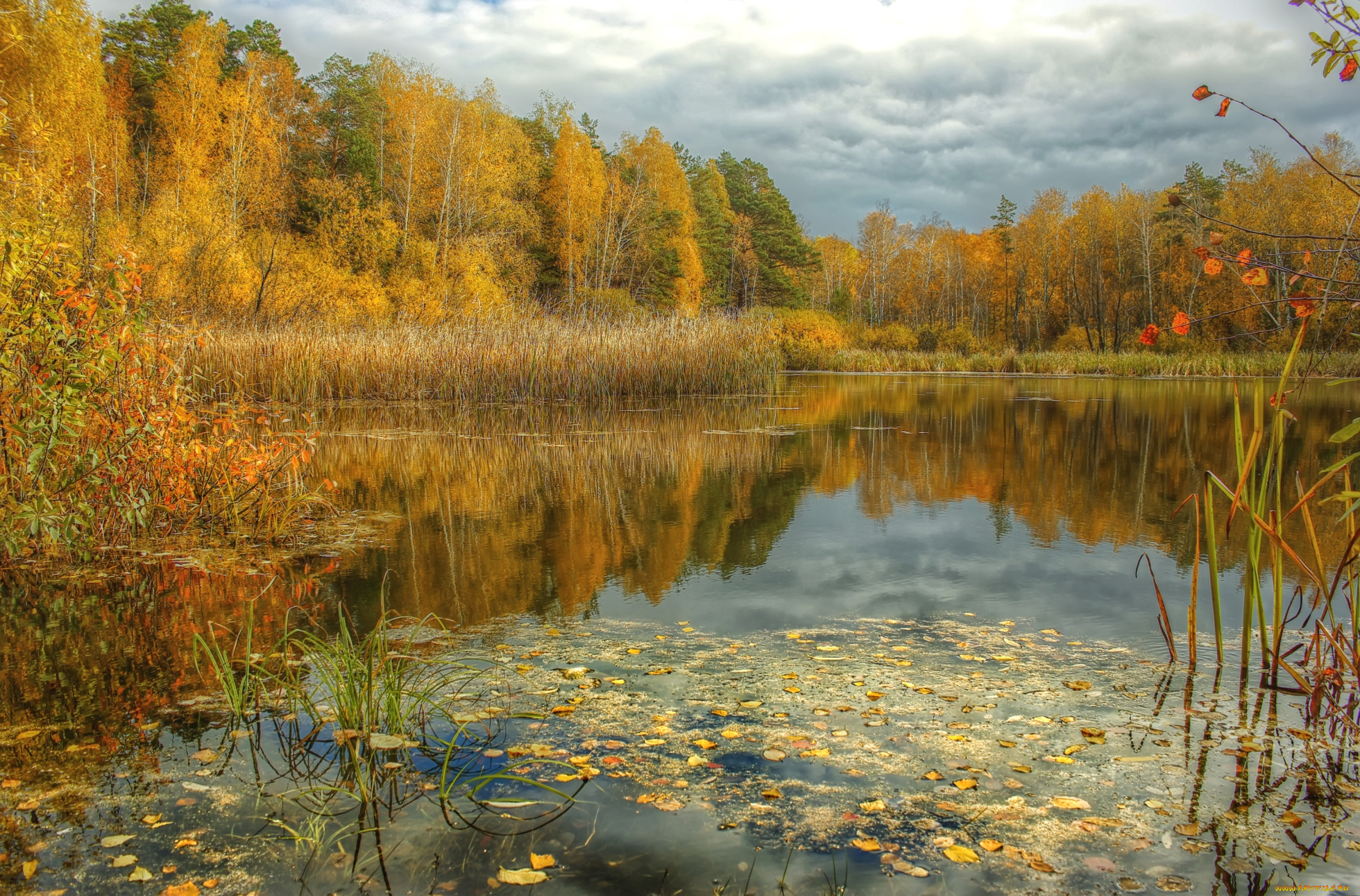 природа, реки, озера, осень