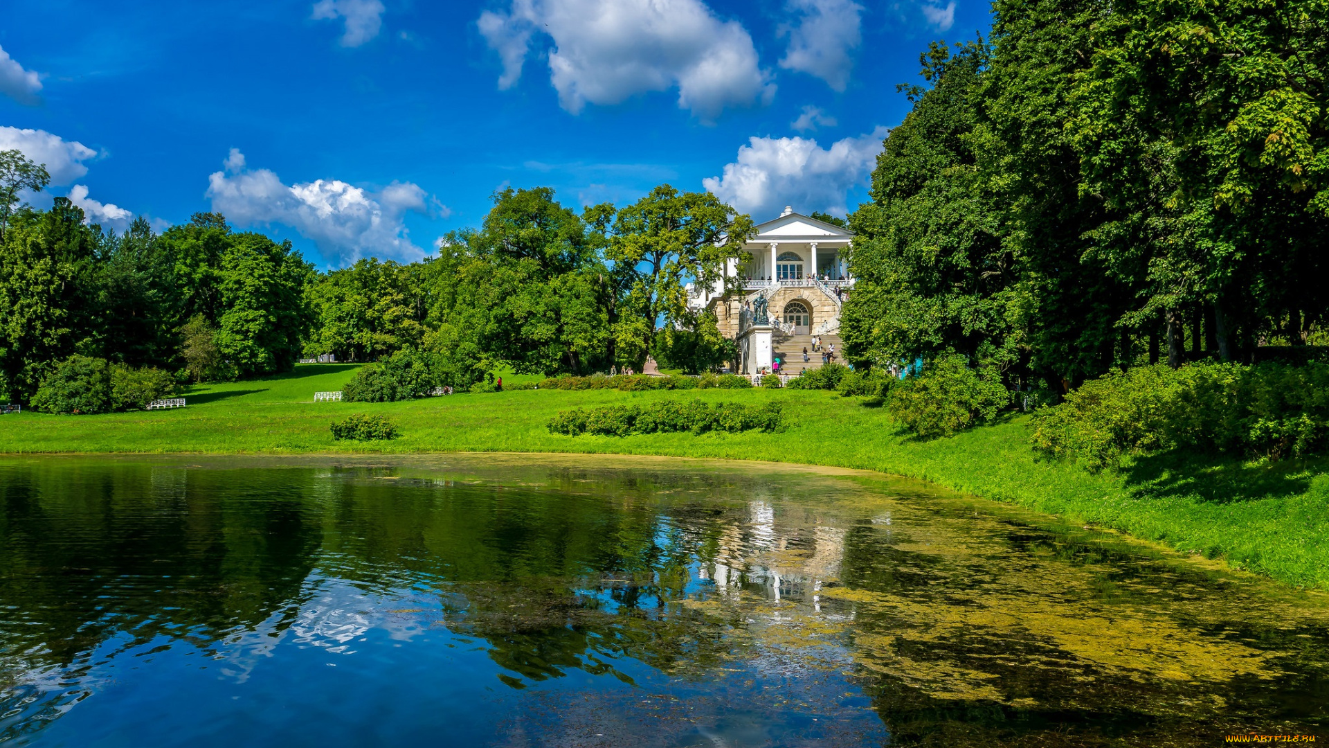 catherine, palace, of, pushkin, города, санкт-петербург, , петергоф, , россия, дворец