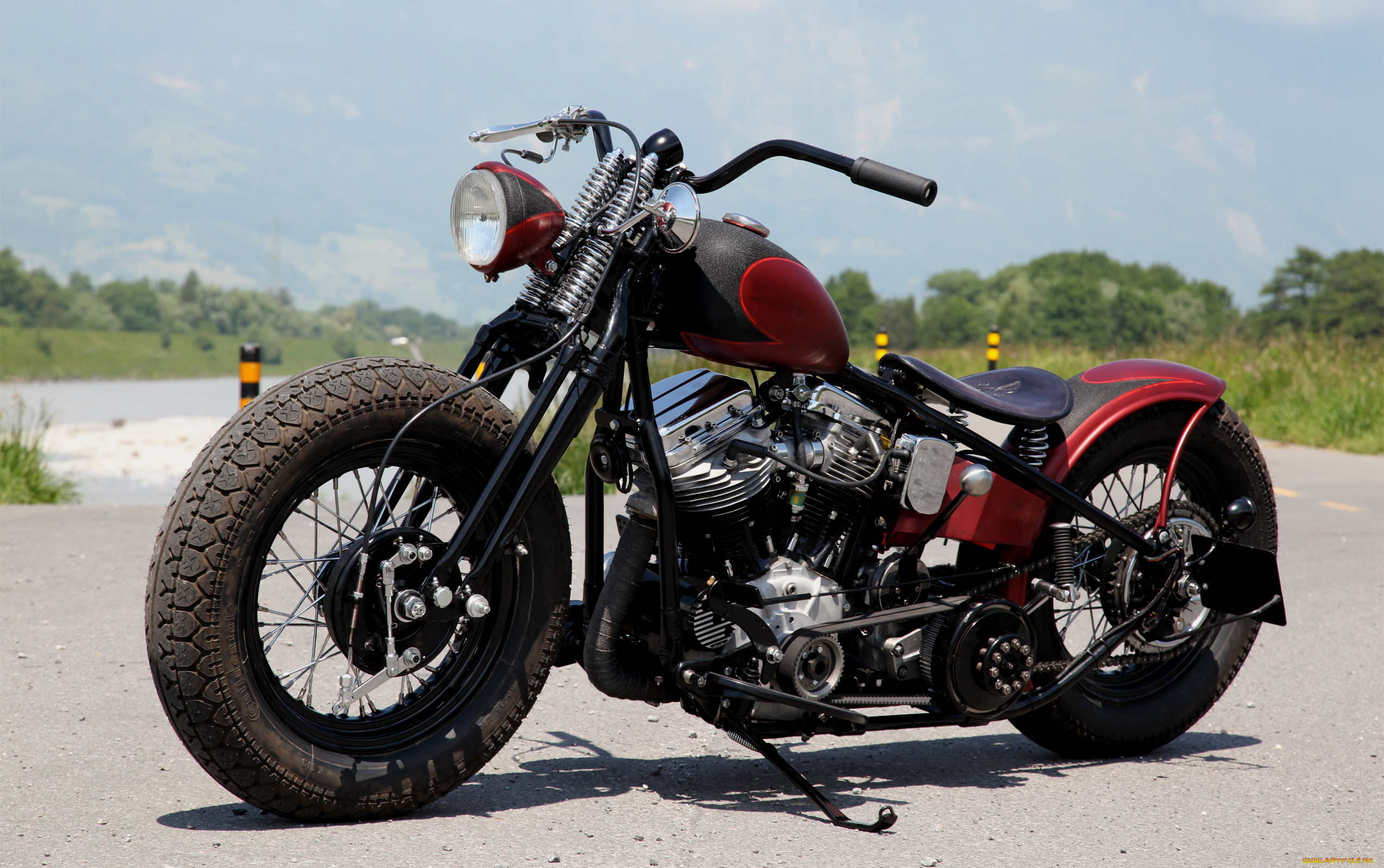 Harley Davidson Chopper Bobber Custom