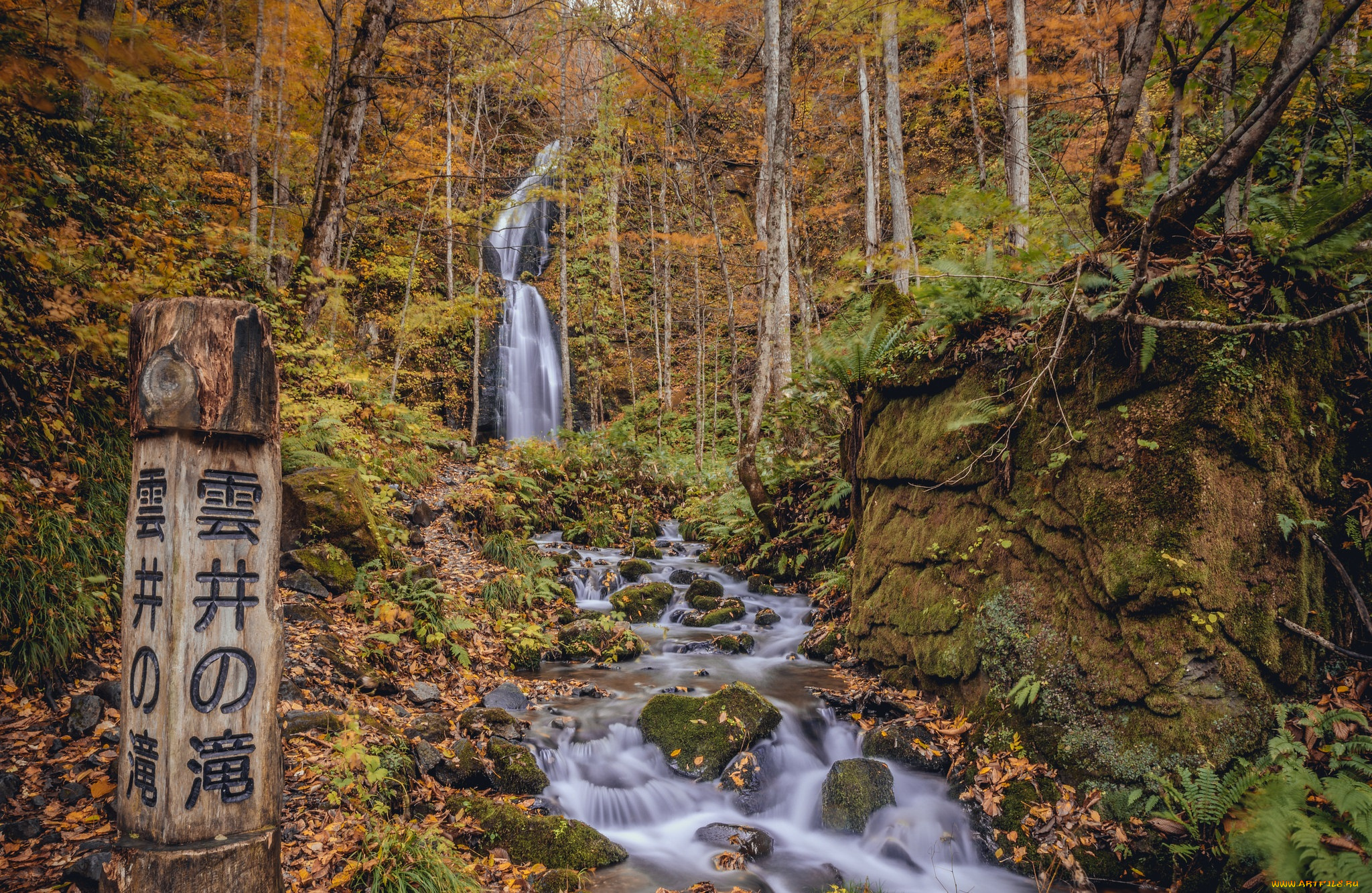 природа, водопады, лес, река, водопад