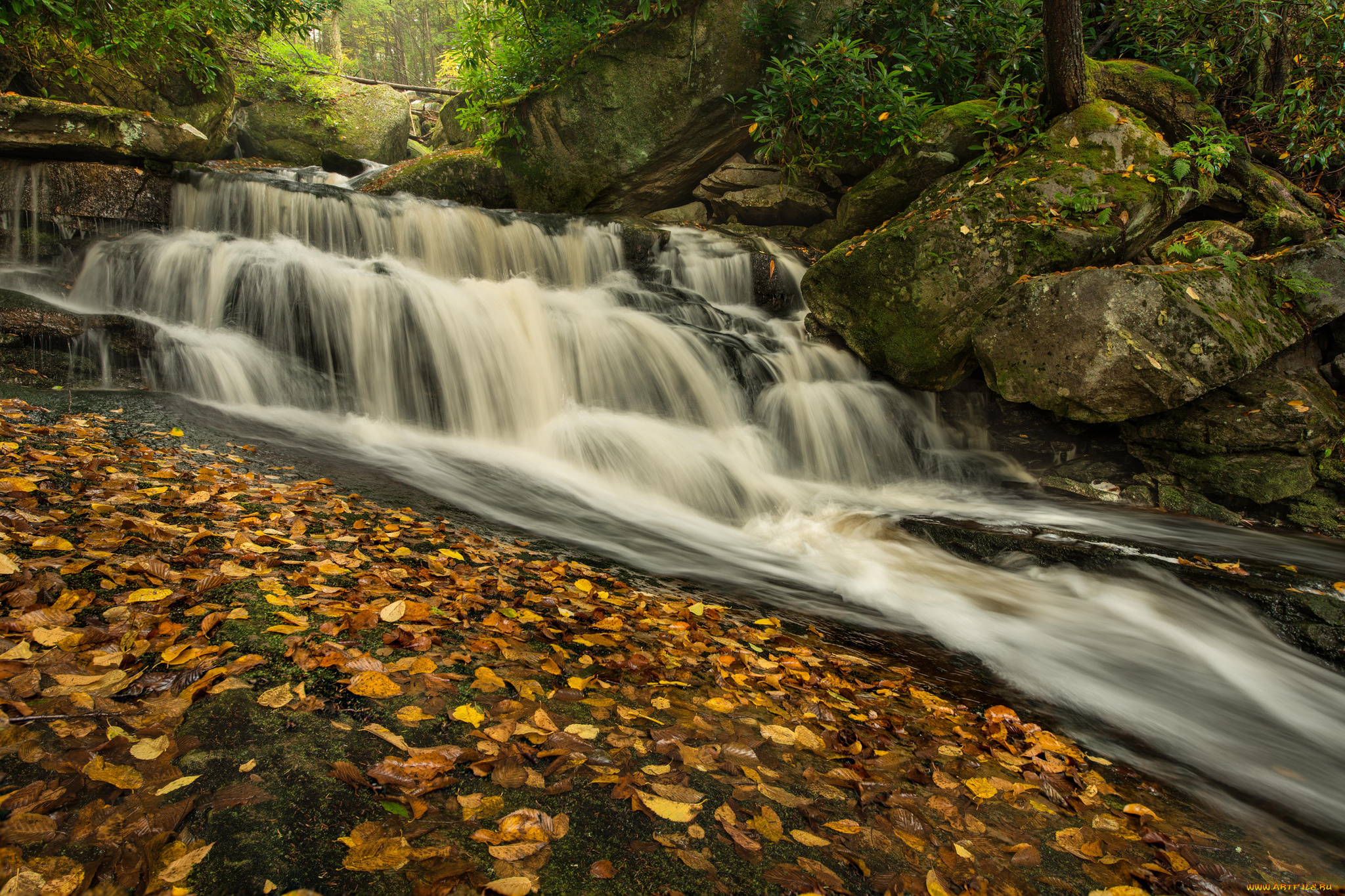 природа, водопады, лес, река, водопад