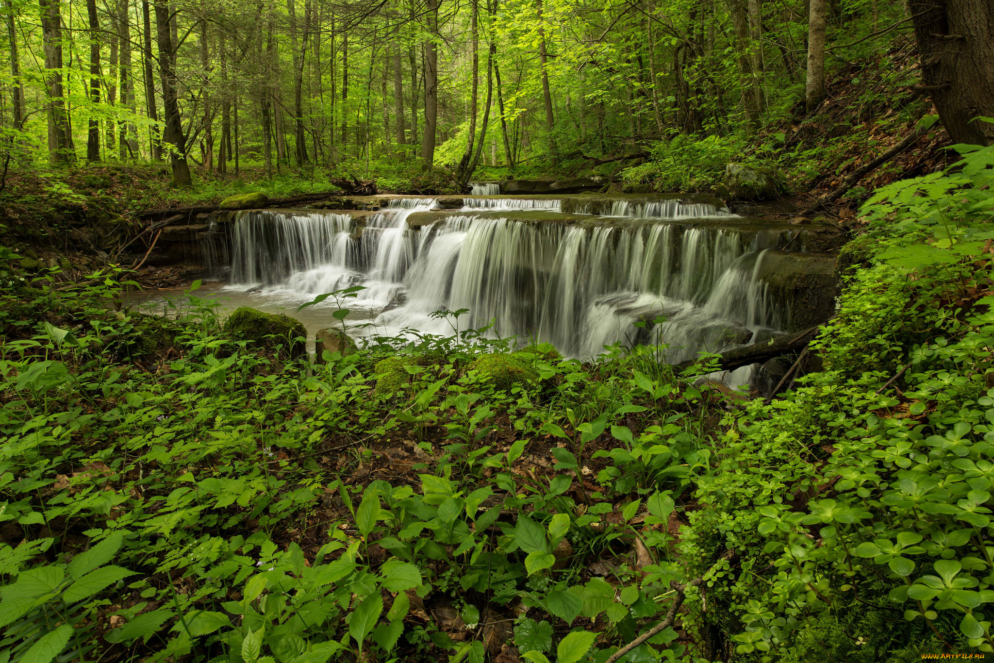 природа, водопады, река, водопад, лес