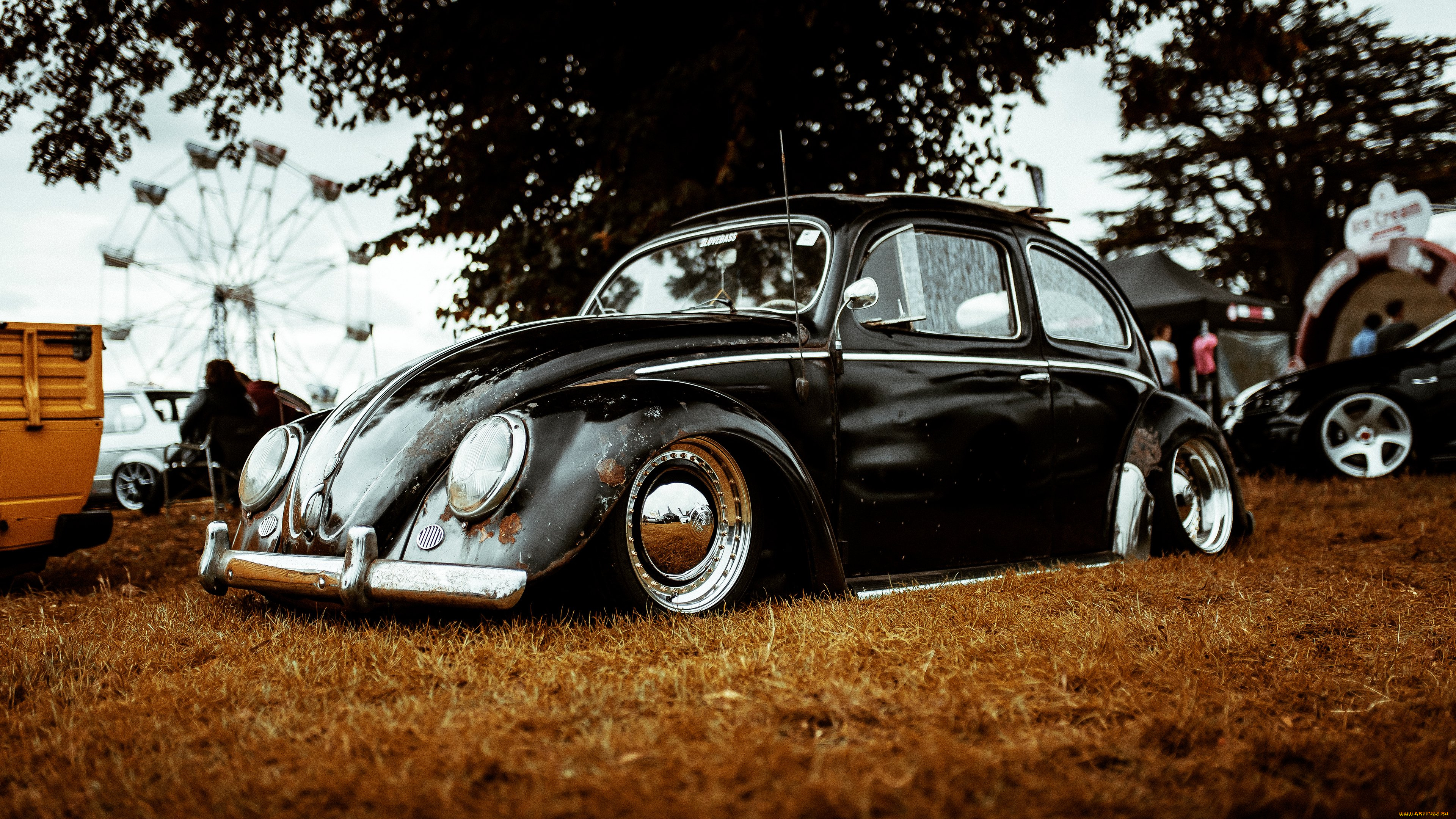 автомобили, volkswagen, beetle