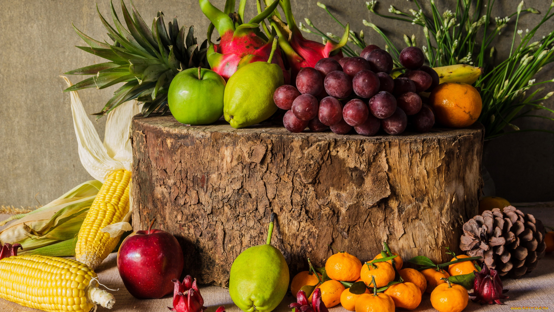 еда, фрукты, и, овощи, вместе, кукуруза, виноград, яблоки