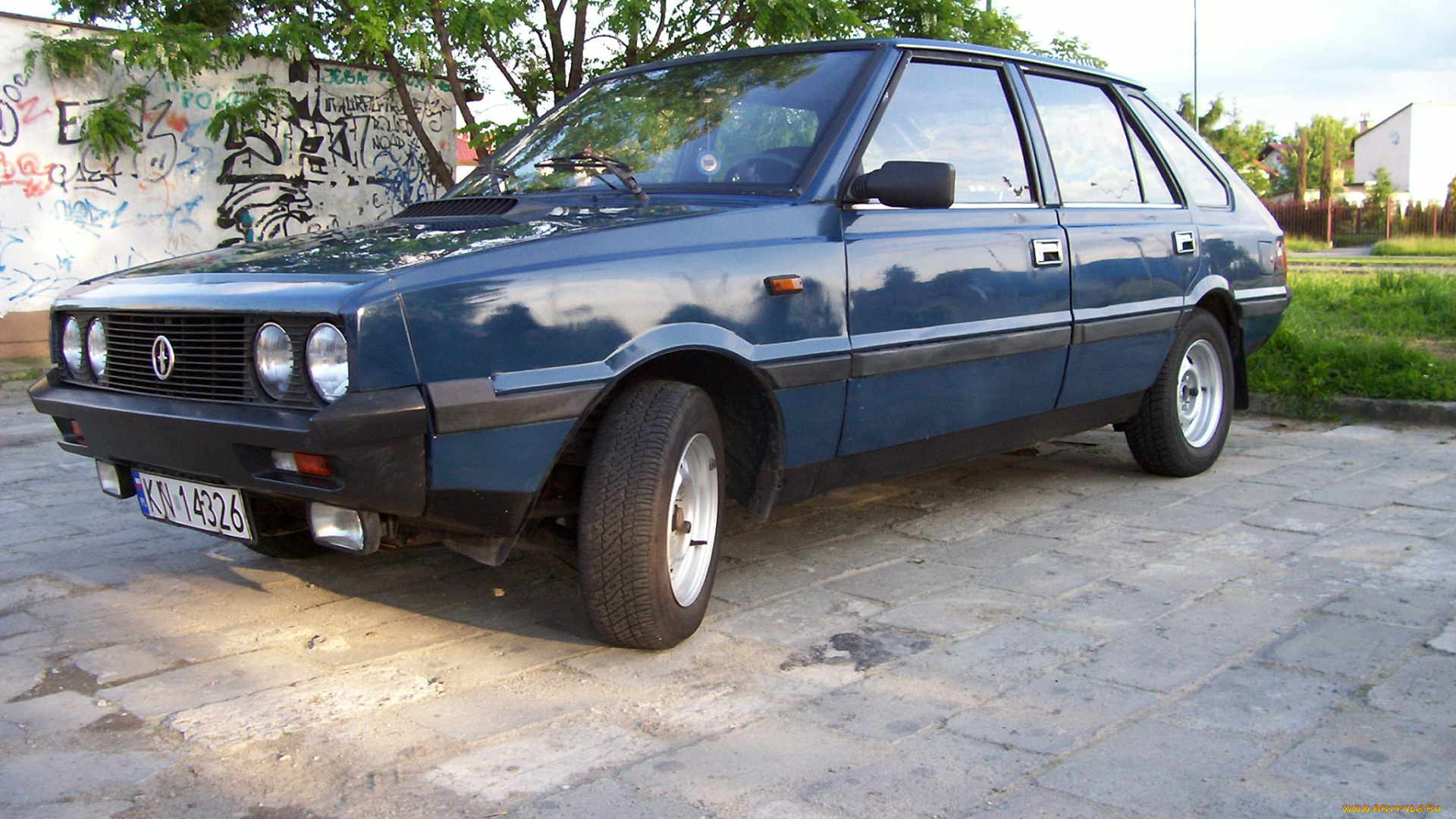 polonez, автомобили, выставки, уличные, фото