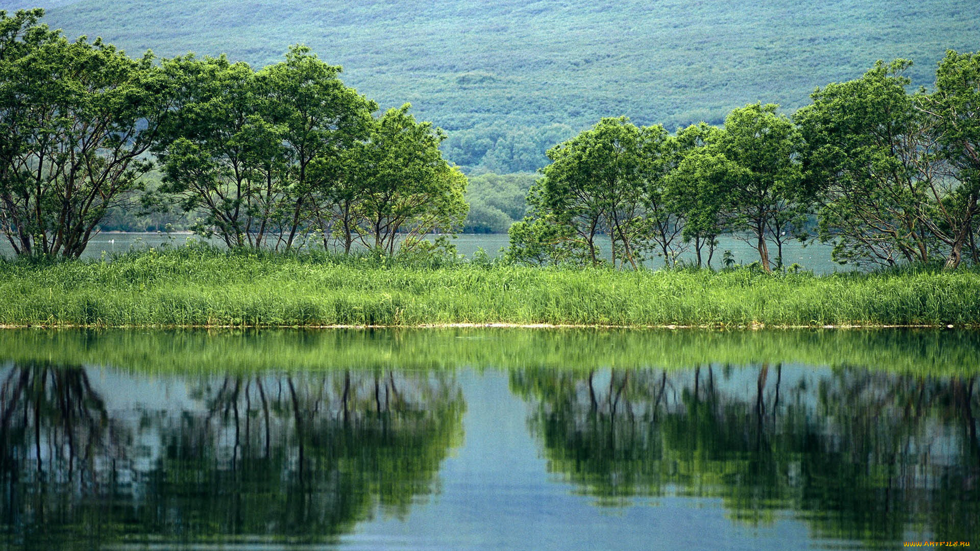 природа, реки, озера, вода, деревья