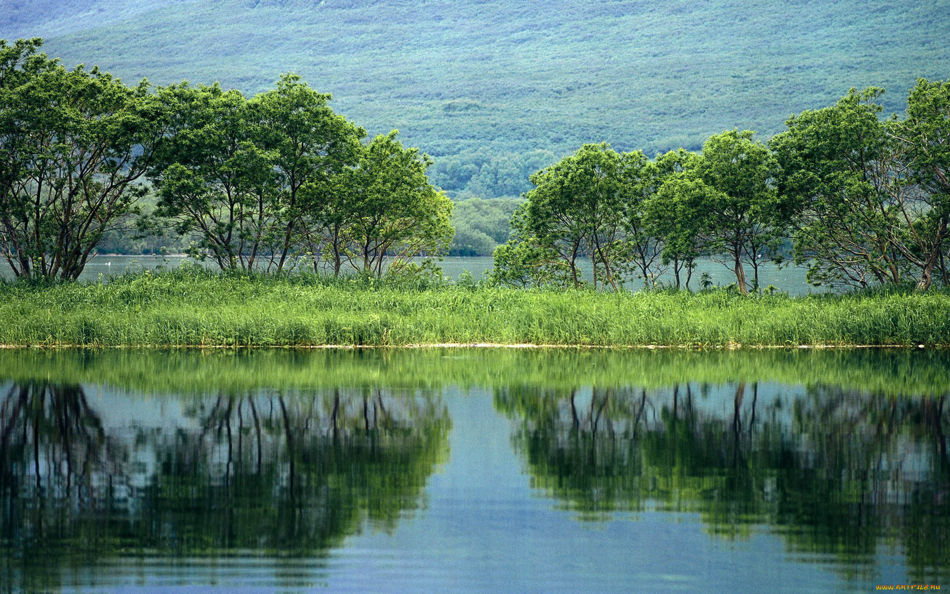 природа, реки, озера, вода, деревья