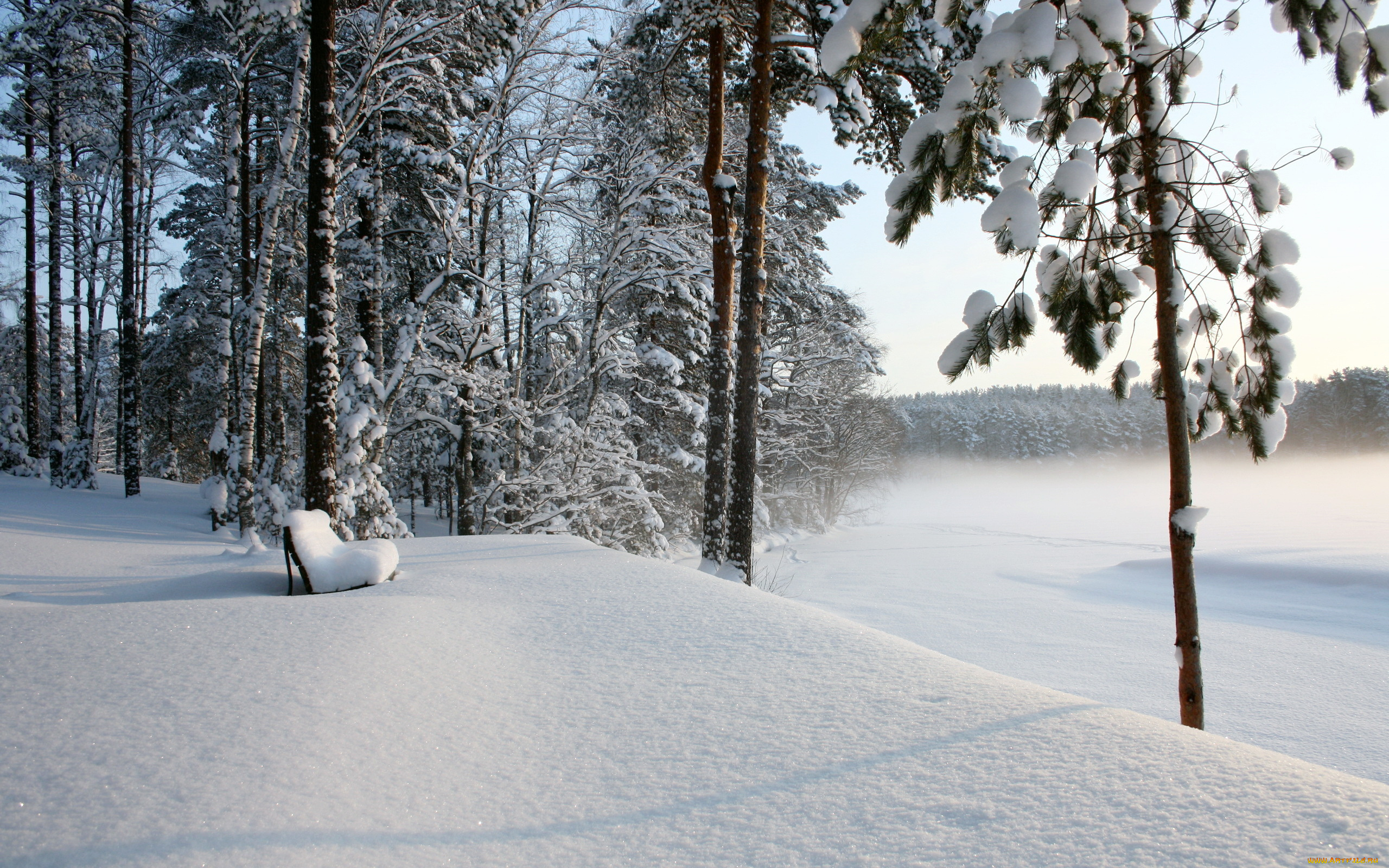 природа, зима, снег, лес, скамья