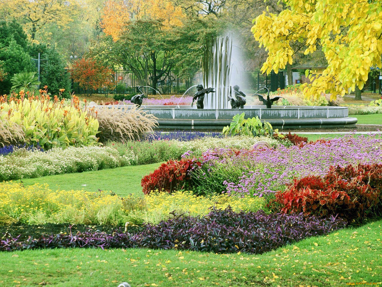 природа, парк, осень, клумбы, фонтан
