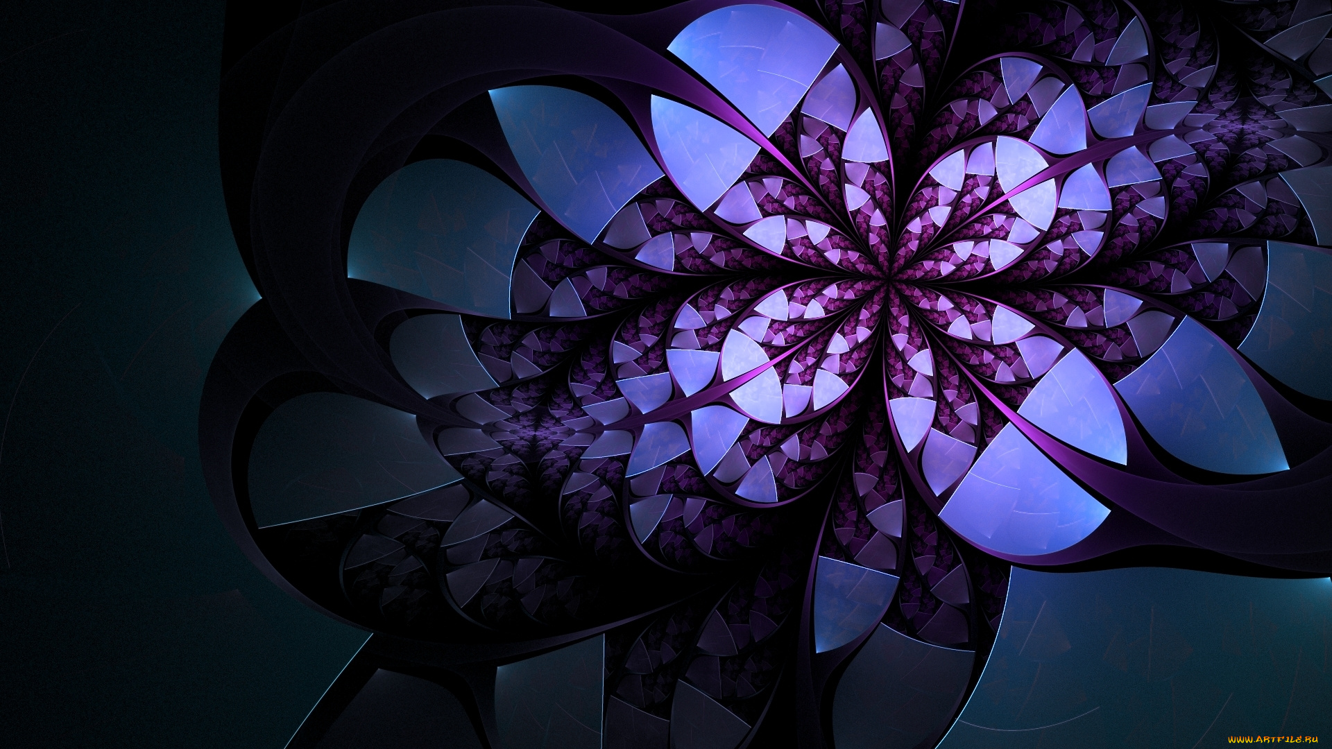 3д, графика, fractal, фракталы, тёмный, фон, белый, фиолетовый, цветок